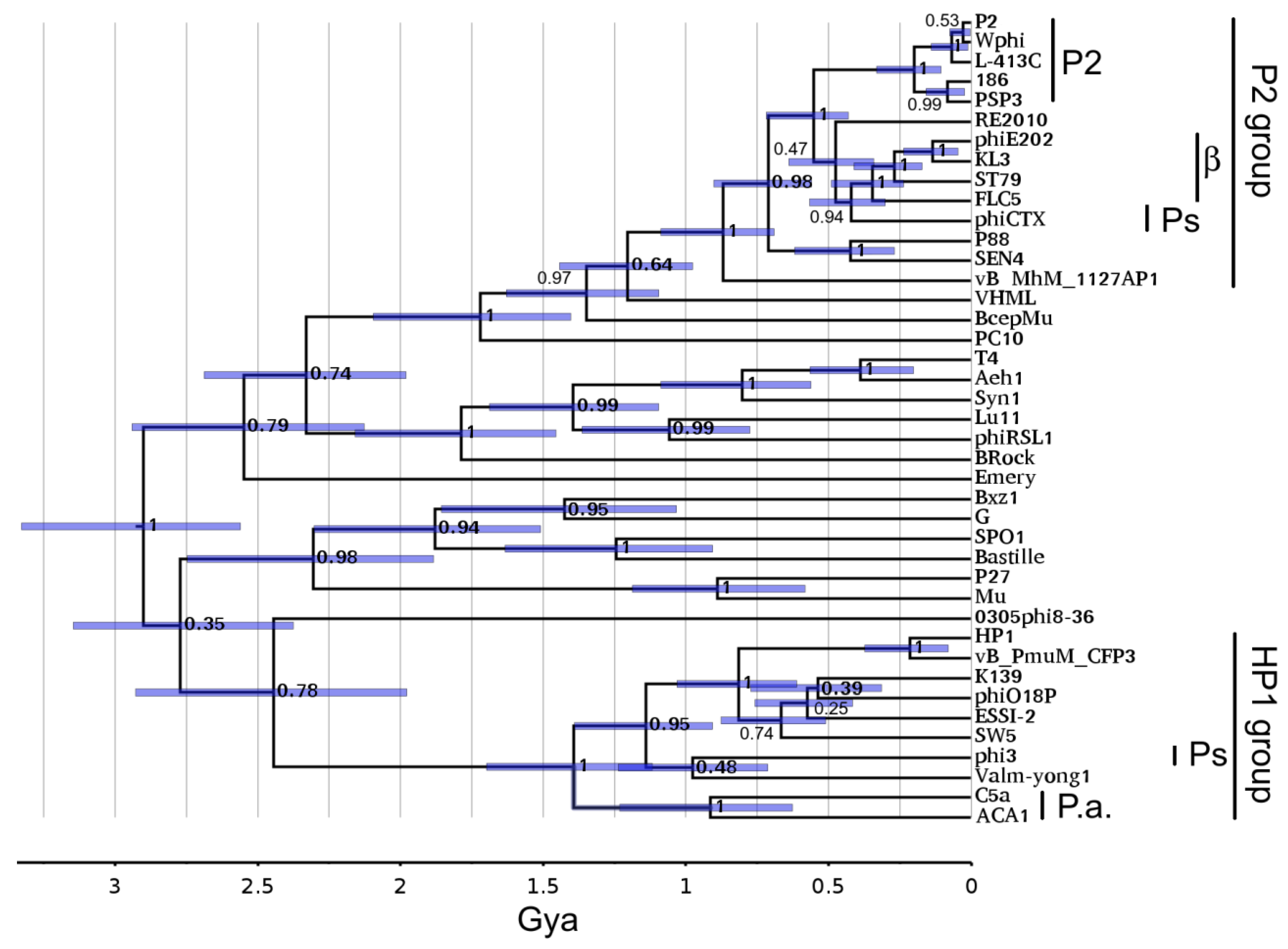 Viruses 15 02061 g007