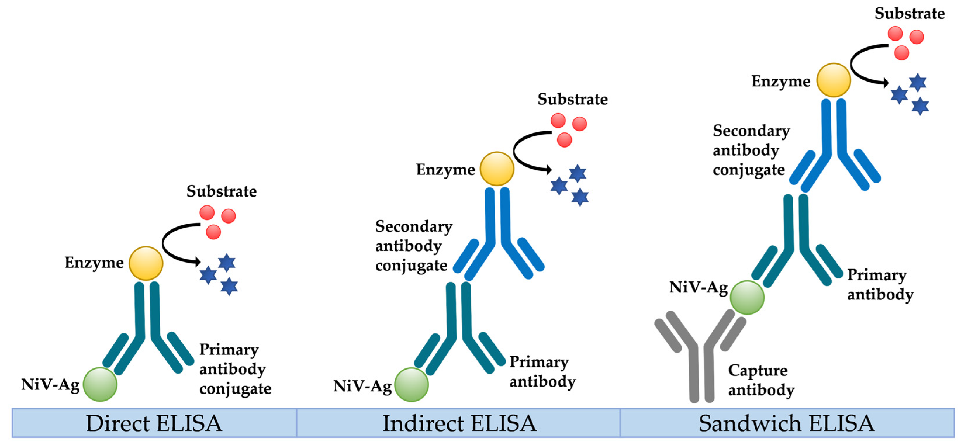 Viruses 15 02062 g002 Viruses 15 02062 g002