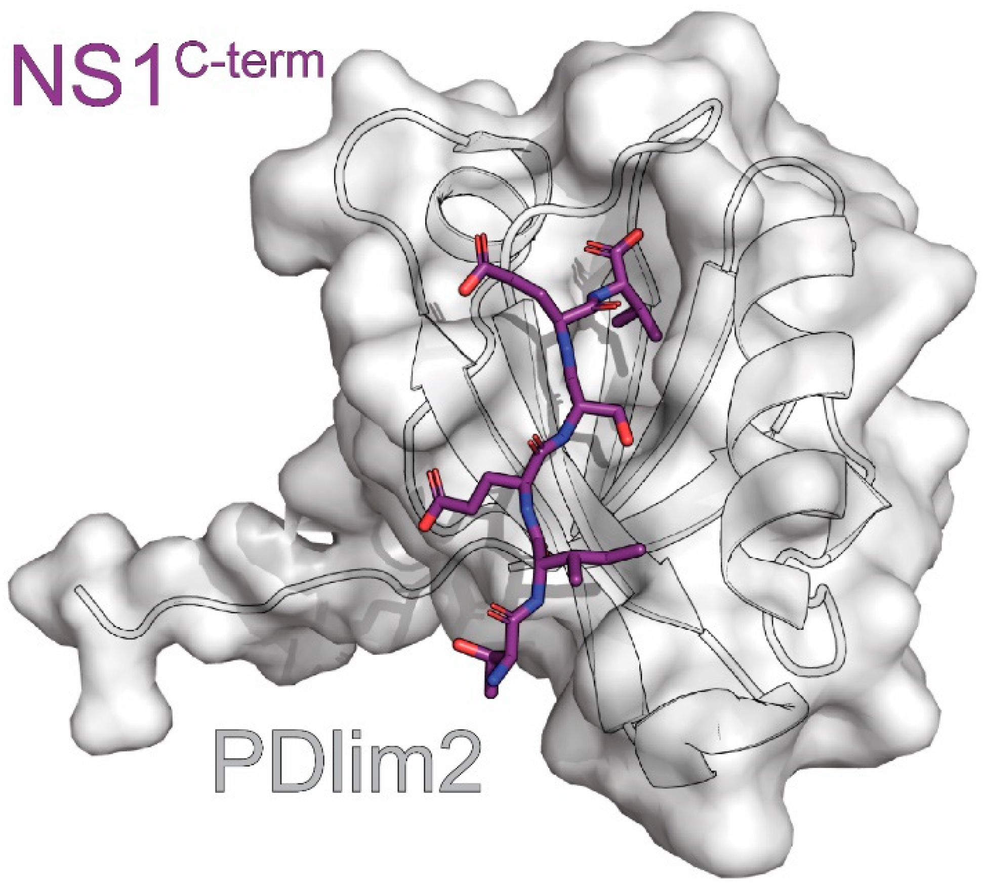 Viruses 15 02063 g009 Viruses 15 02063 g009