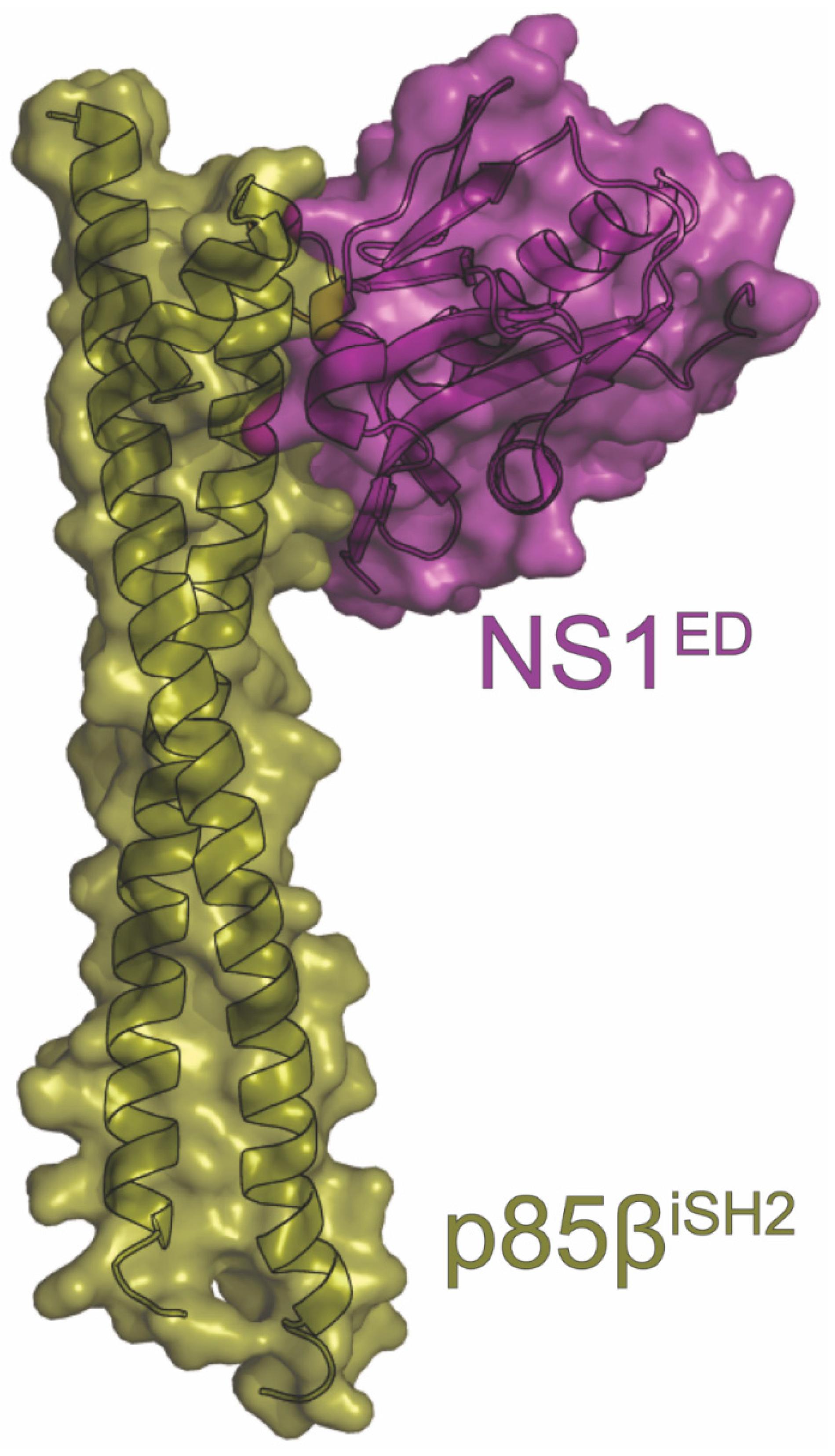 Viruses 15 02063 g010 Viruses 15 02063 g010