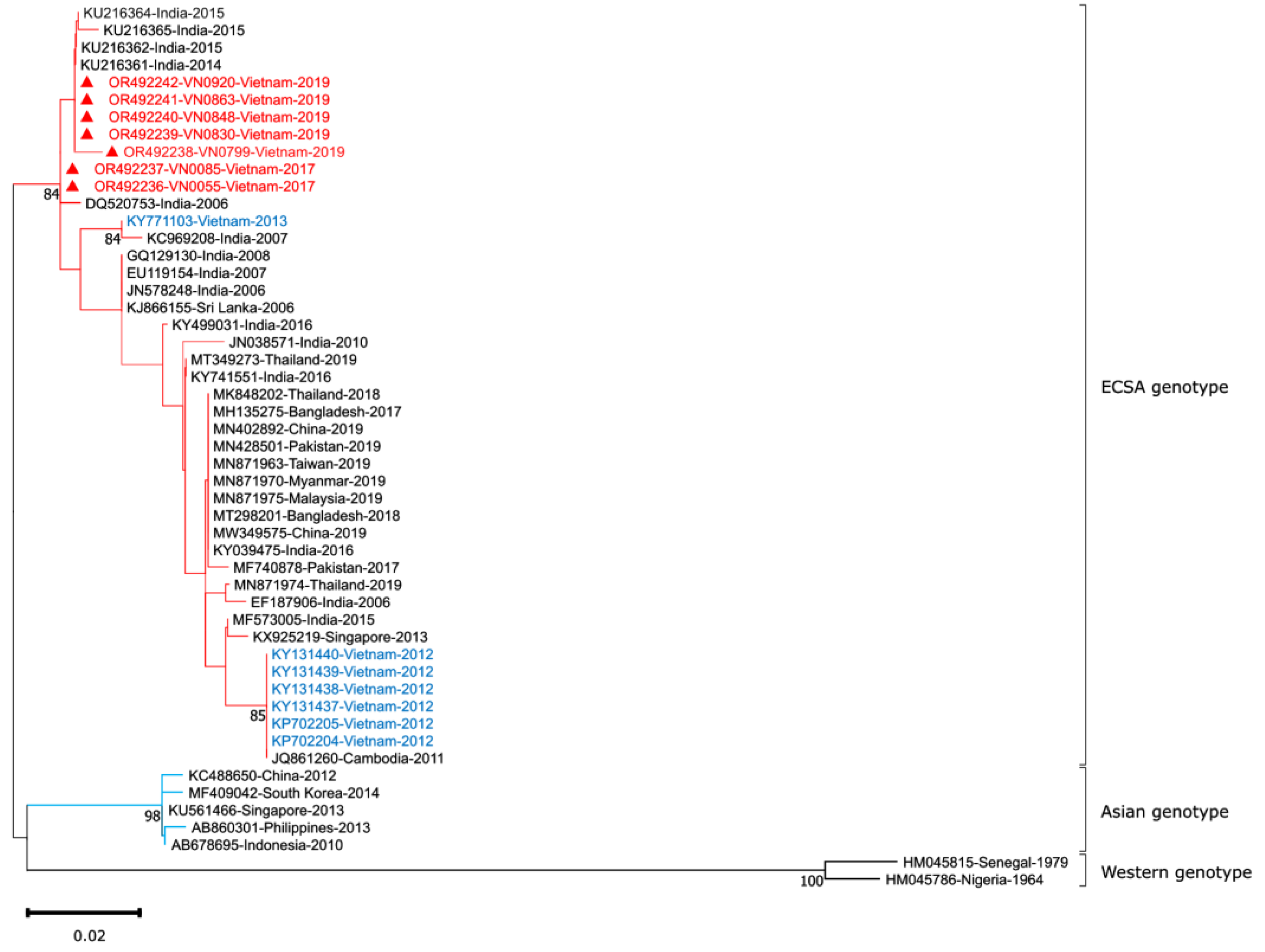 Viruses 15 02065 g007