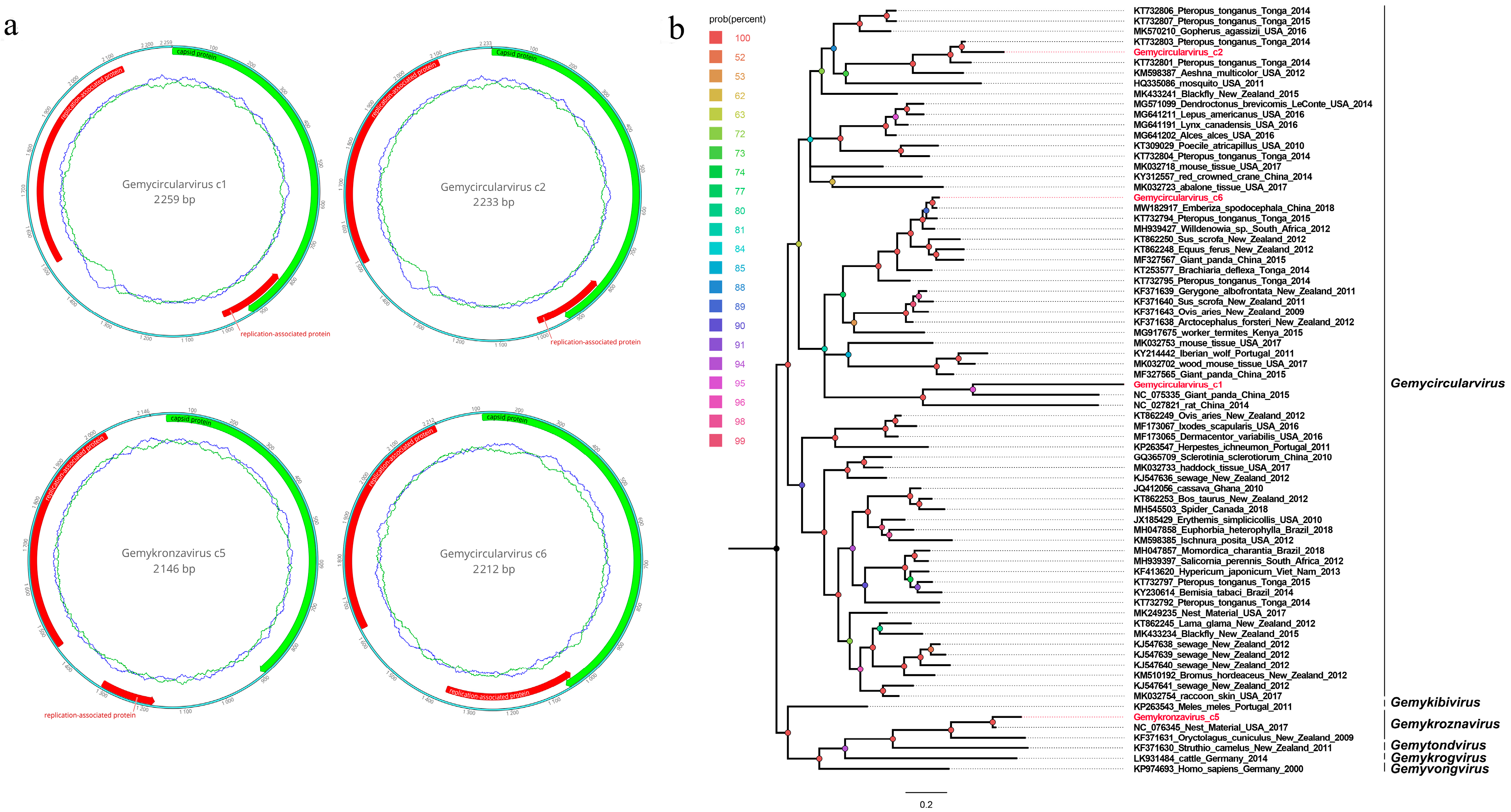Viruses 15 02068 g004 Viruses 15 02068 g004
