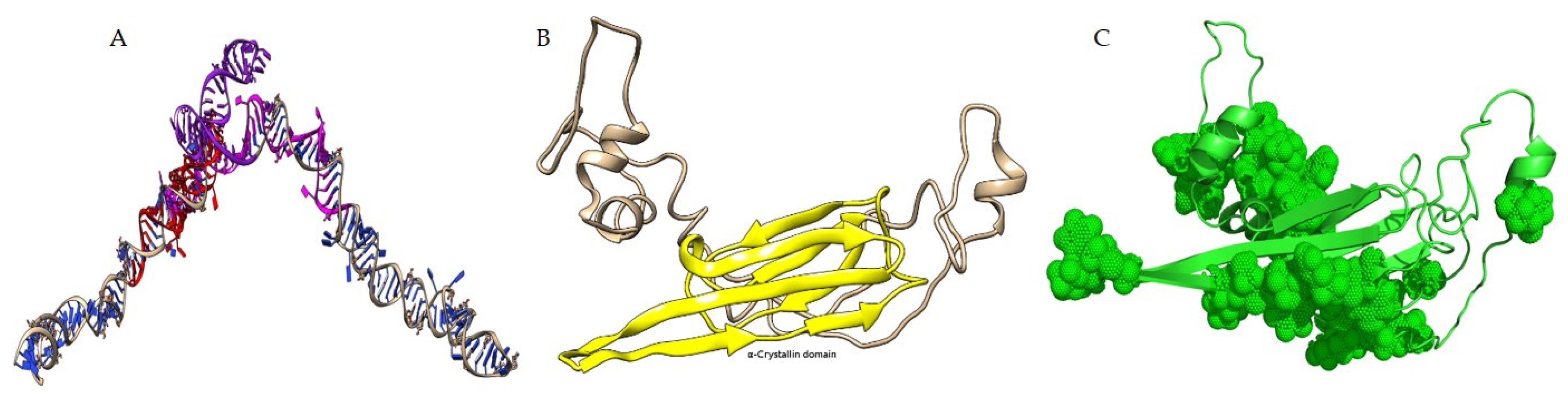 Viruses 15 02069 g003