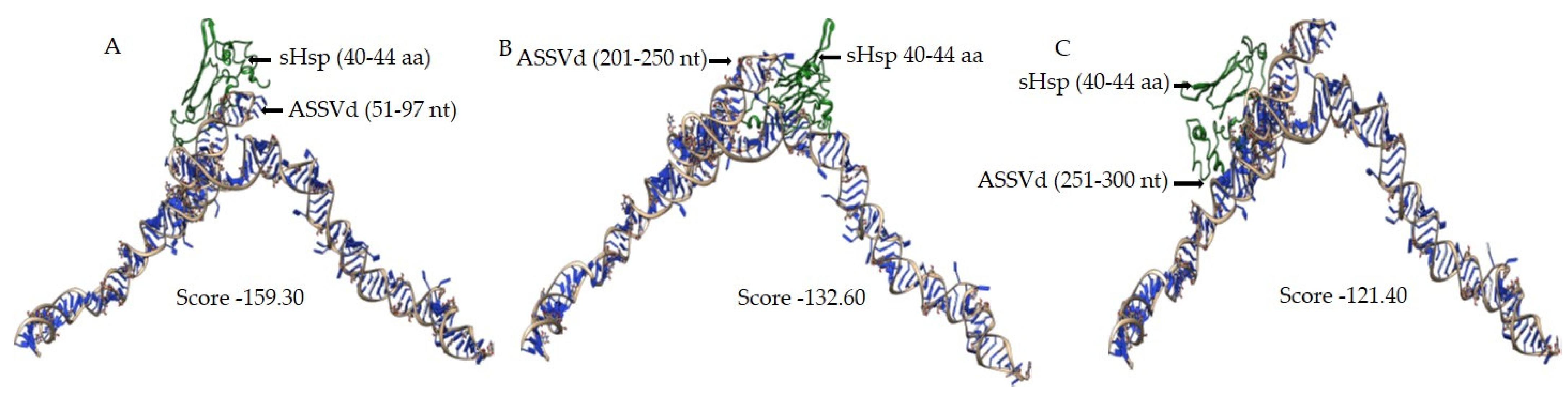 Viruses 15 02069 g004