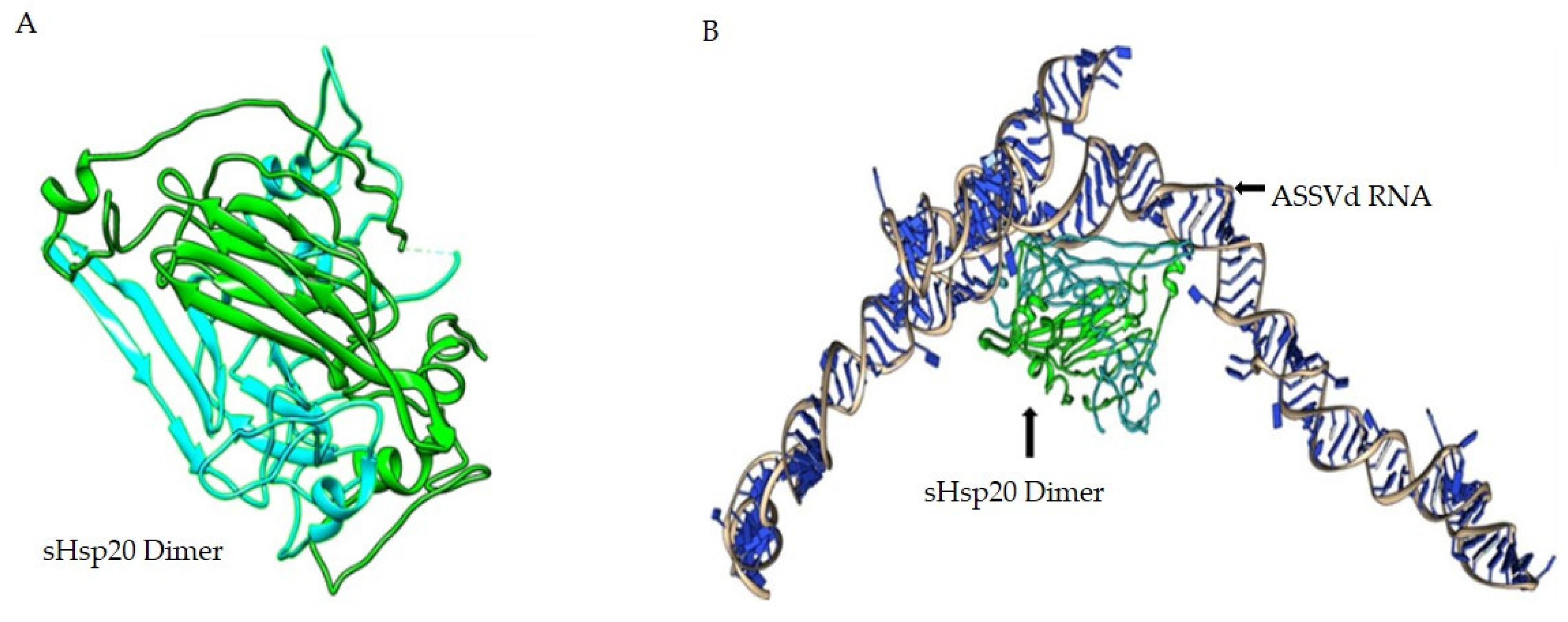 Viruses 15 02069 g005