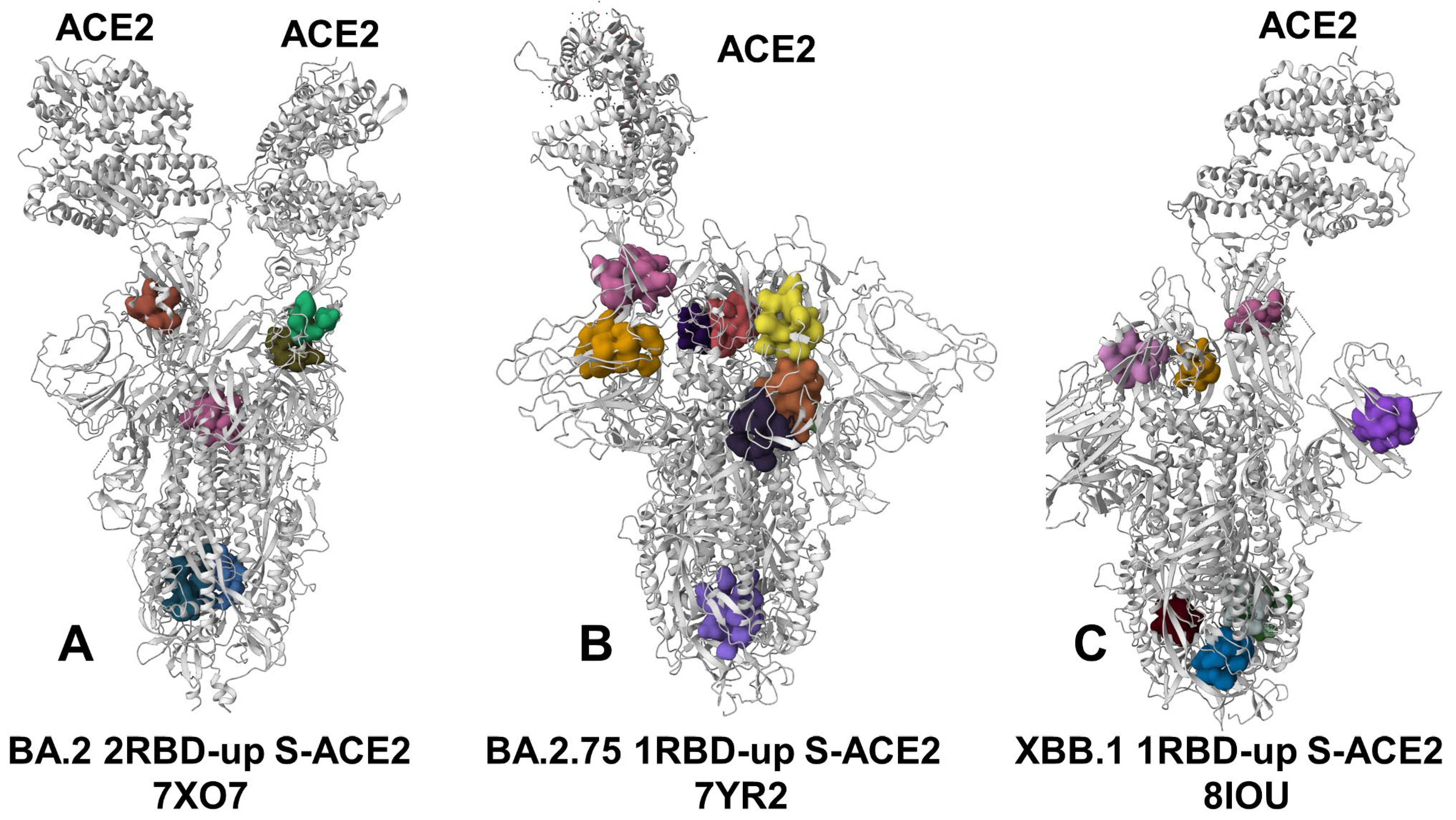 Viruses 15 02073 g010