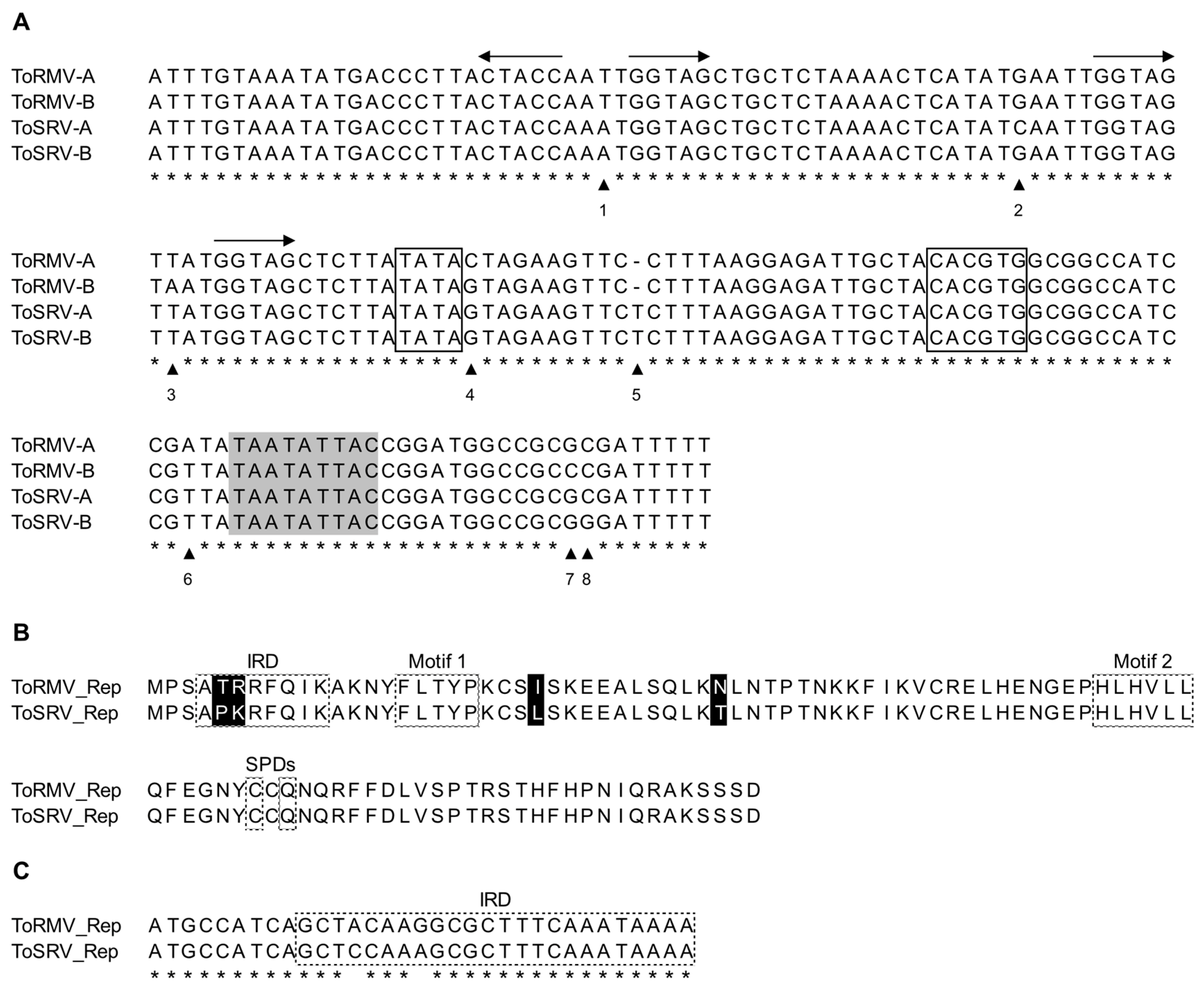 Viruses 15 02074 g001