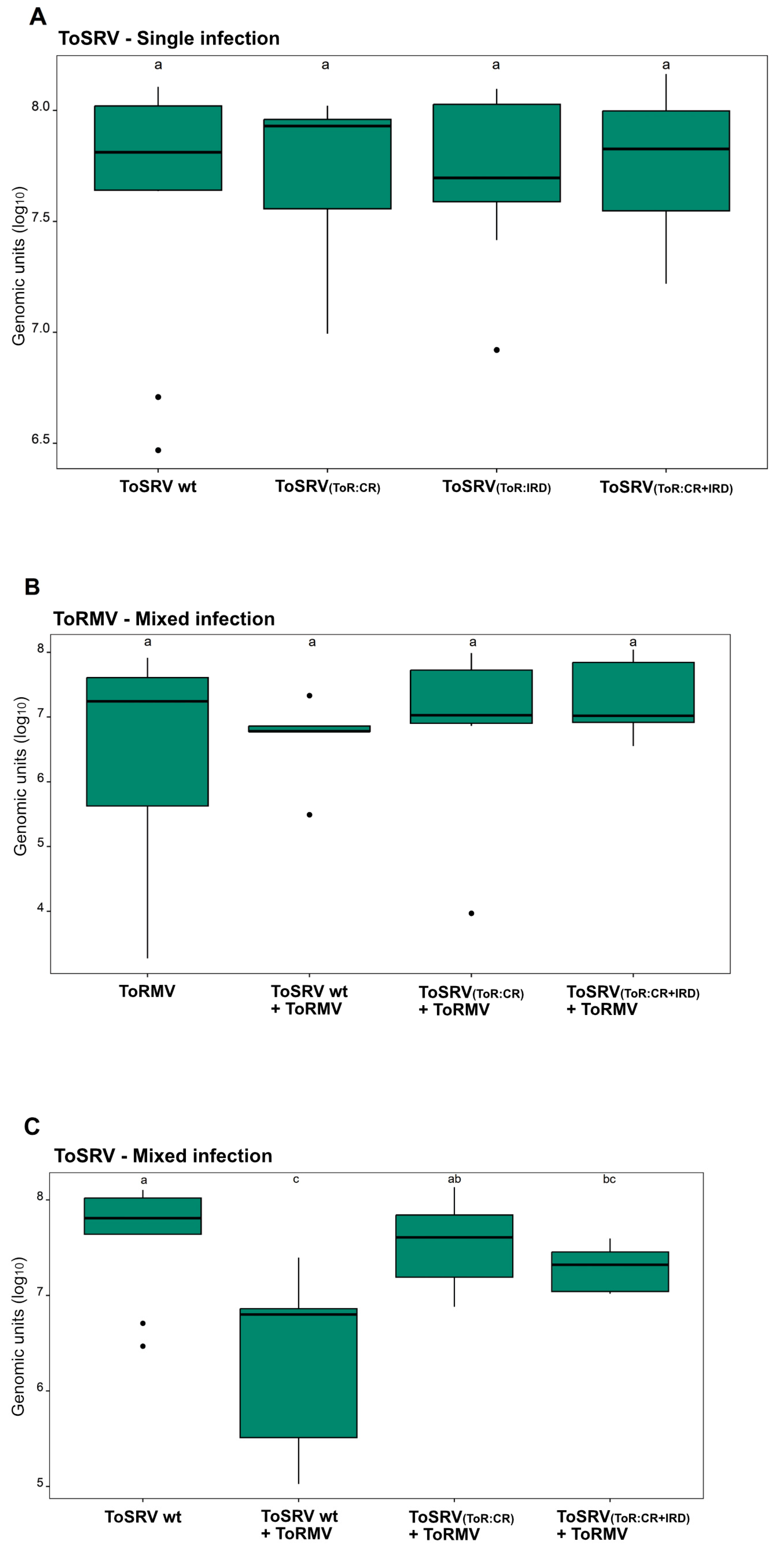 Viruses 15 02074 g003