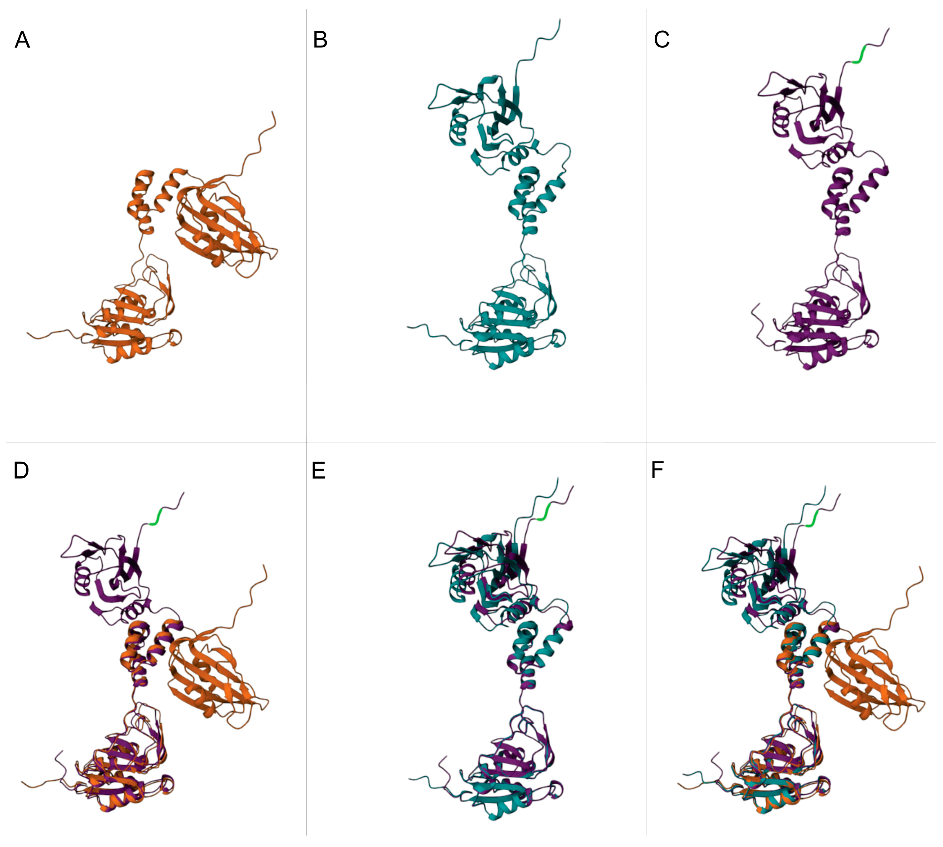 Viruses 15 02074 g004