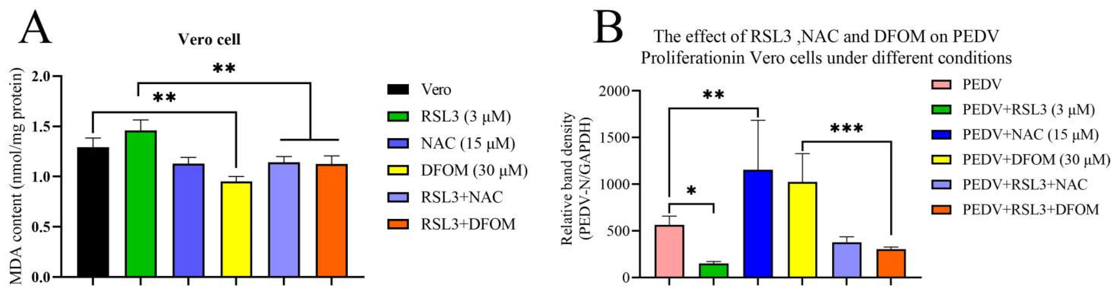 Viruses 15 02080 g002