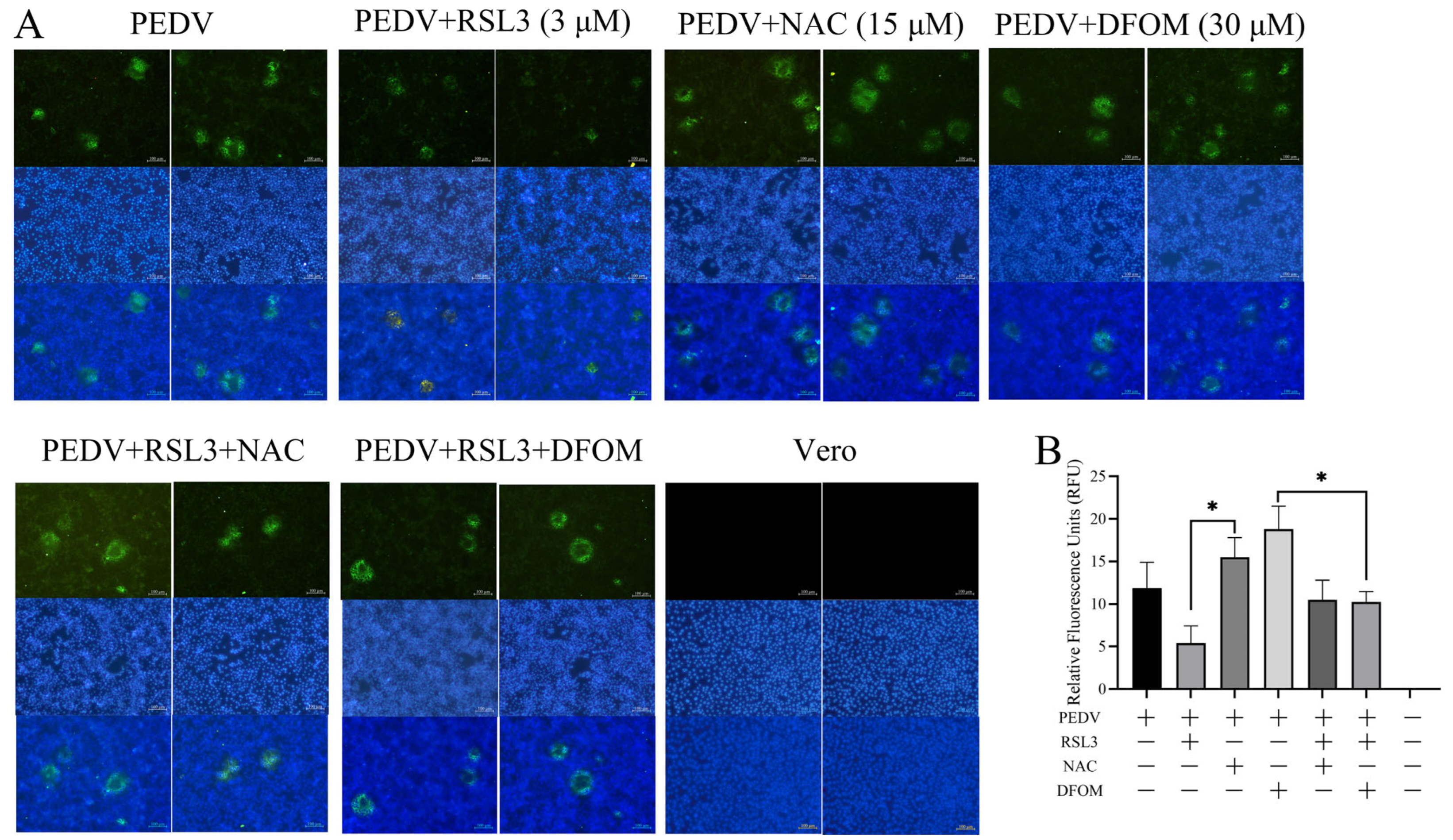 Viruses 15 02080 g003