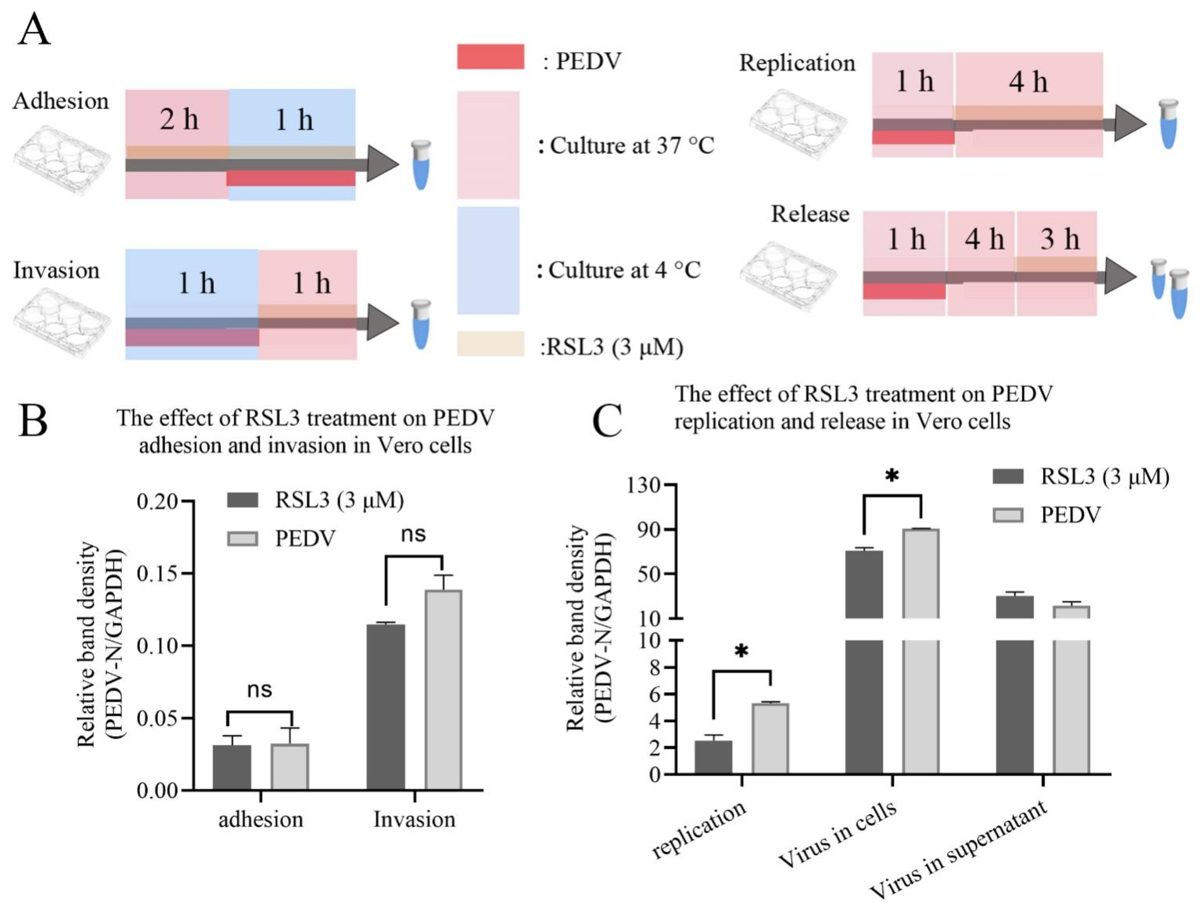 Viruses 15 02080 g004