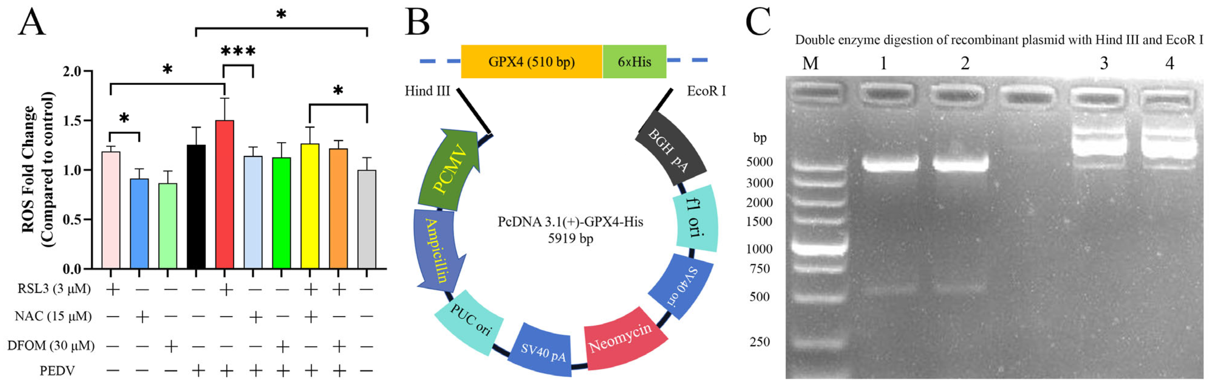 Viruses 15 02080 g005