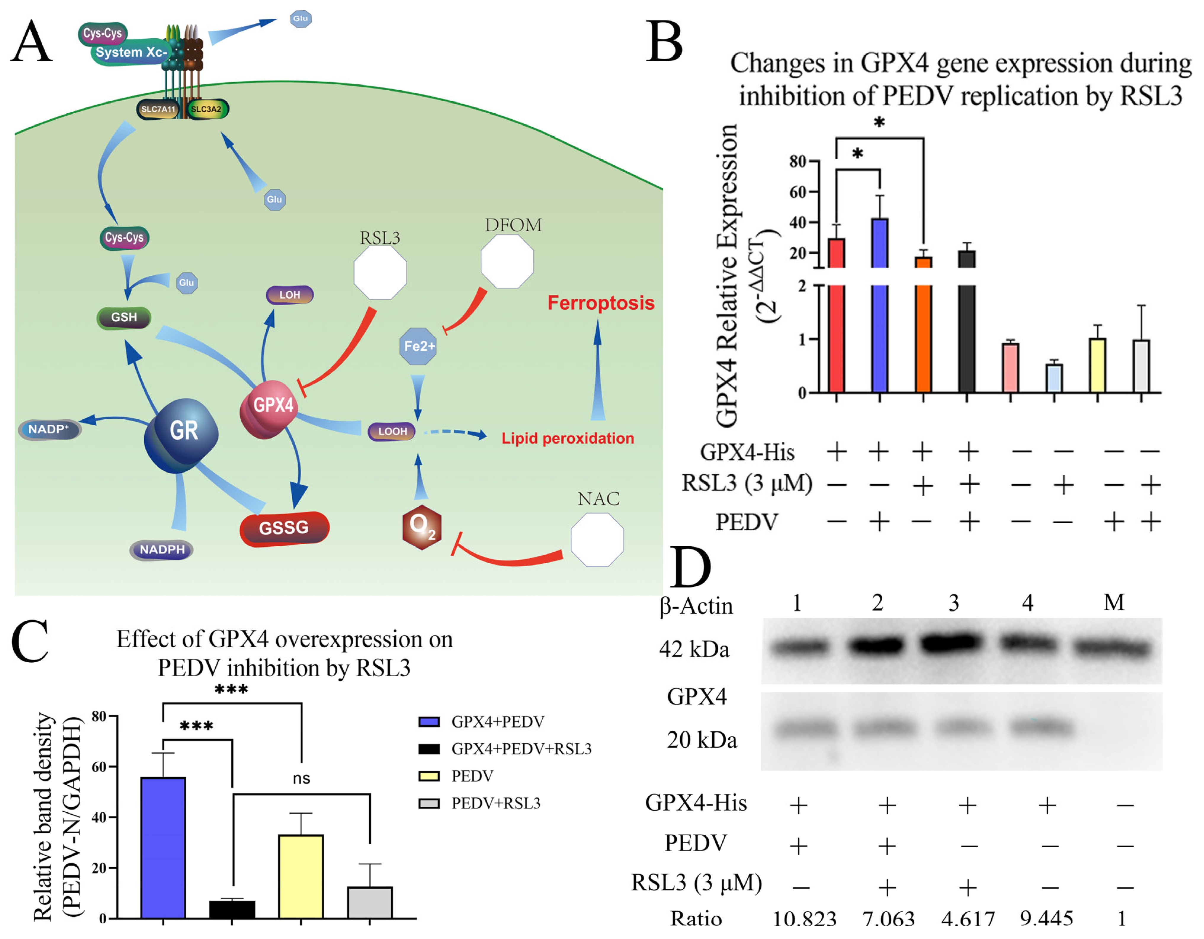 Viruses 15 02080 g006