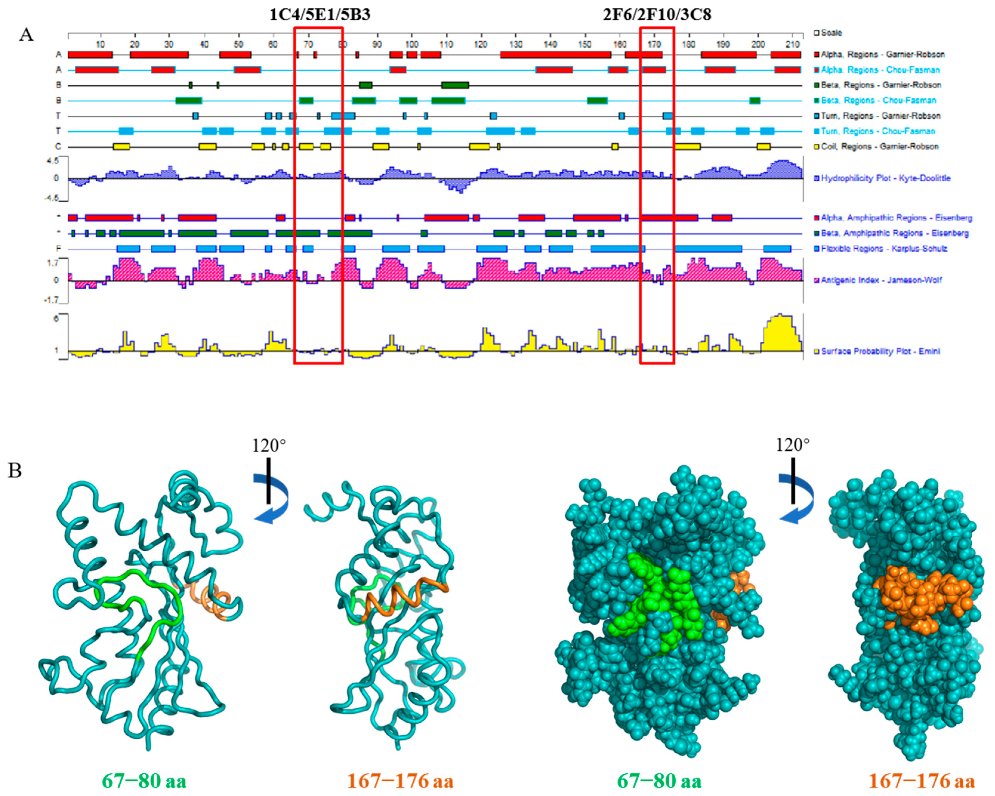 Viruses 15 02081 g004