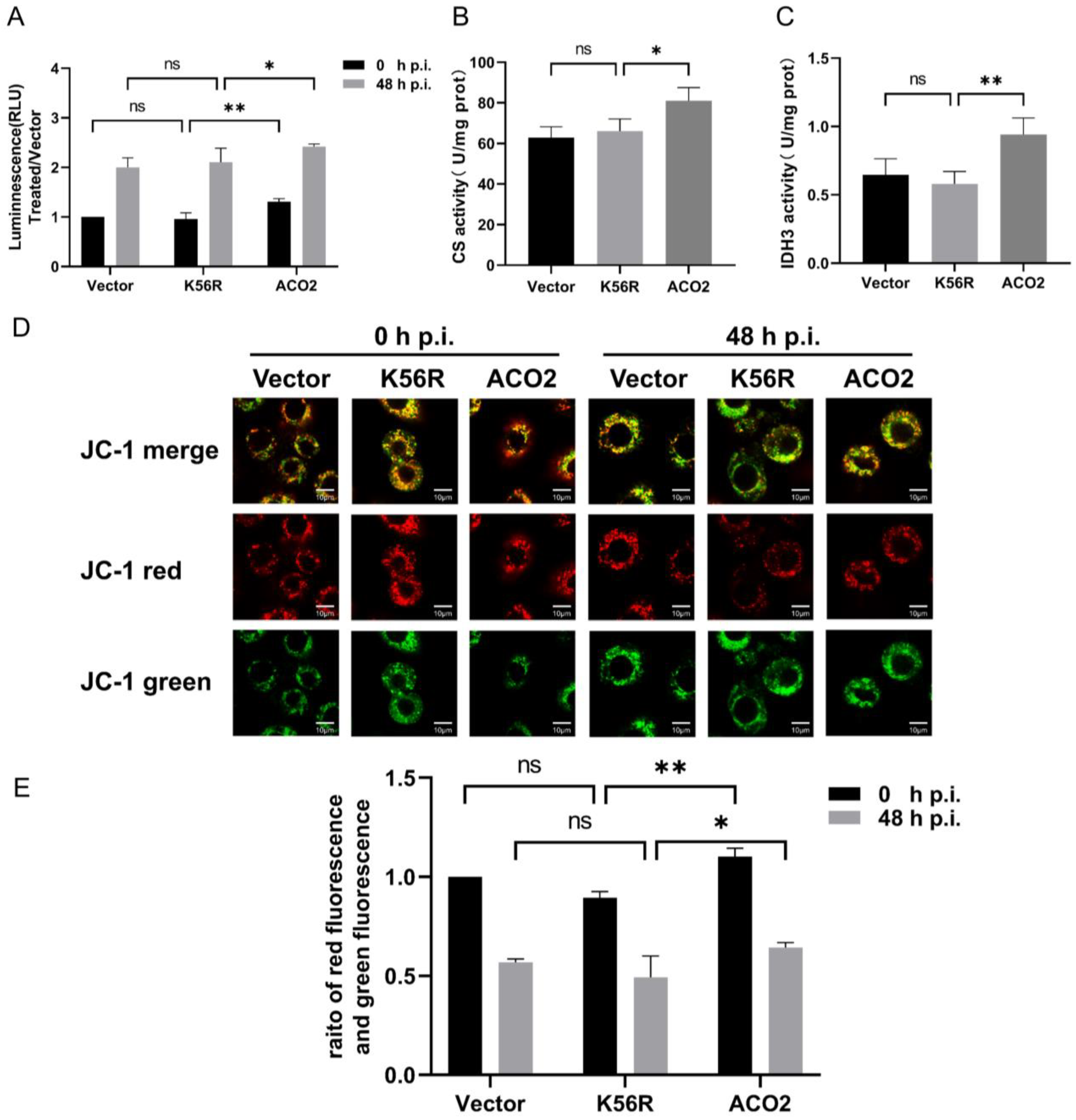 Viruses 15 02084 g003