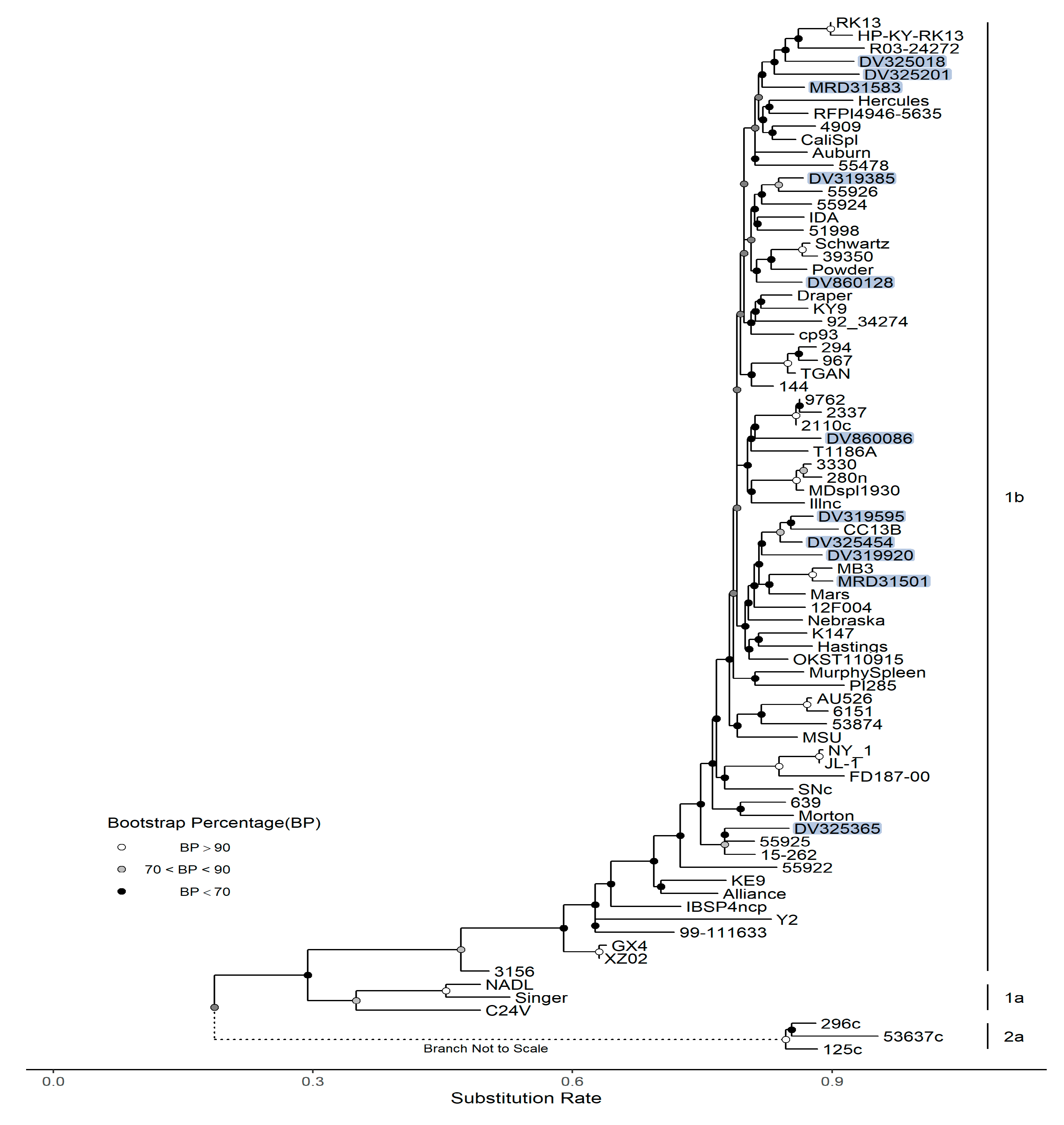 Viruses 15 02085 g001