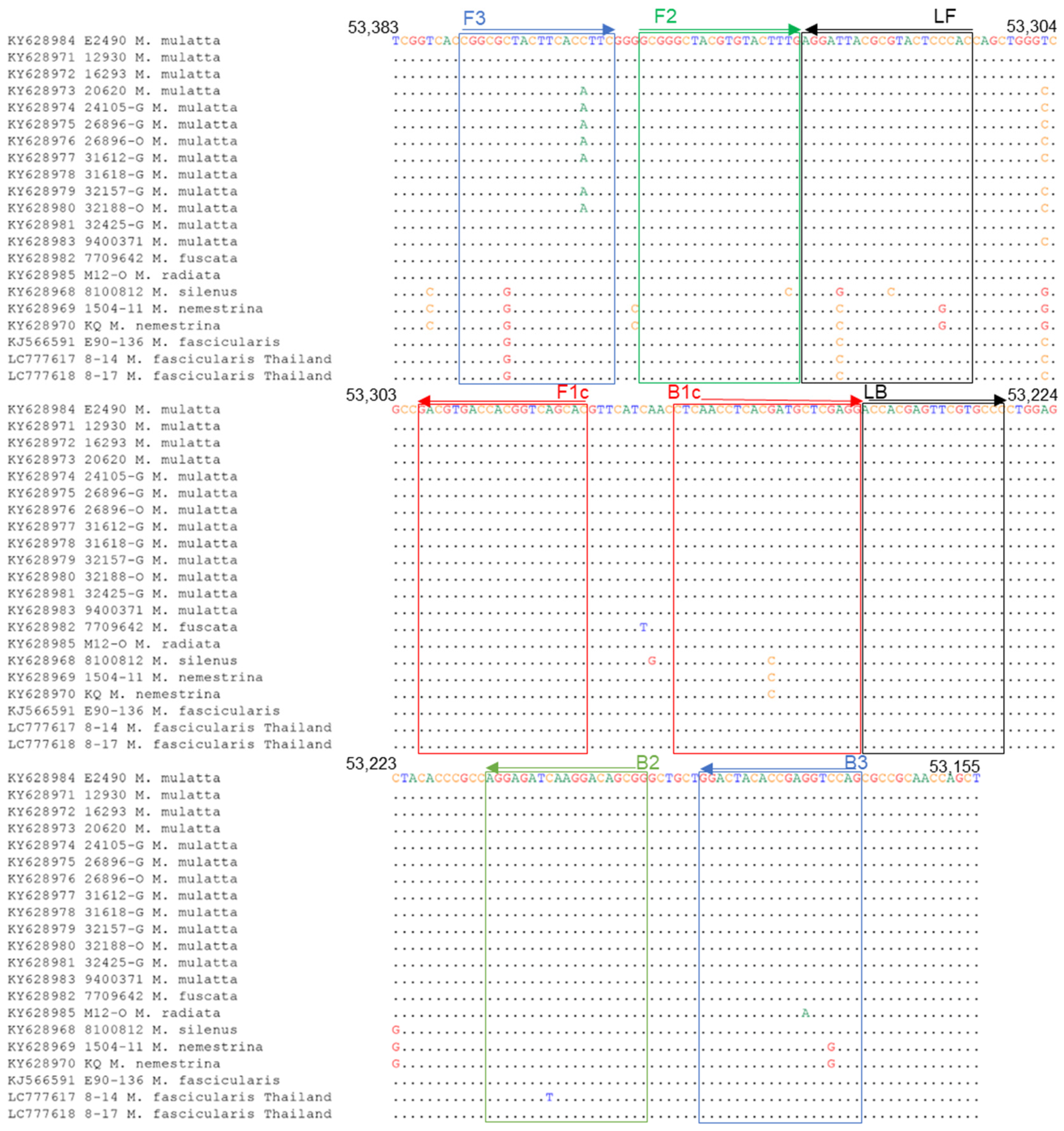 Viruses 15 02086 g003 Viruses 15 02086 g003