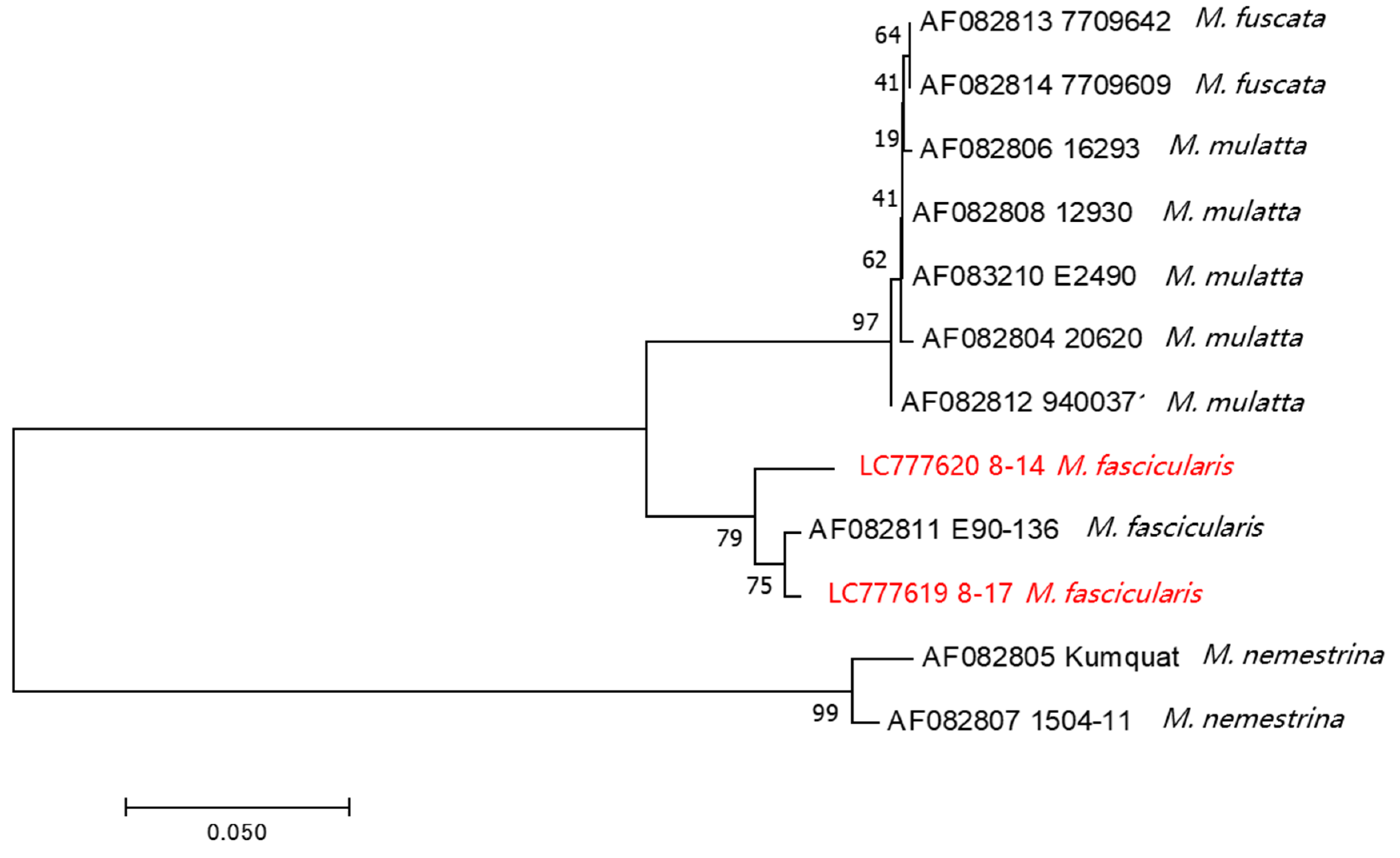 Viruses 15 02086 g004 Viruses 15 02086 g004