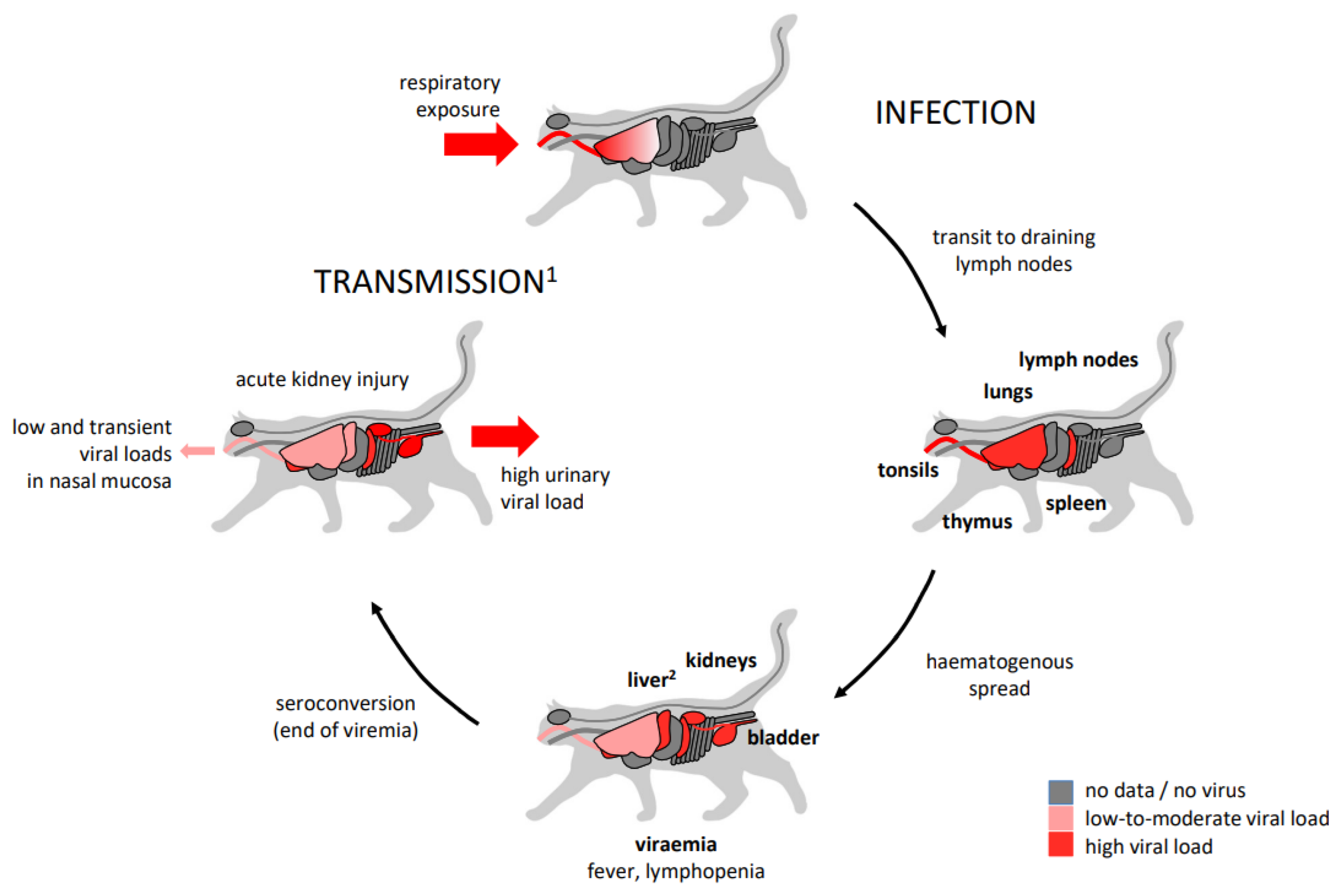 Viruses 15 02087 g001