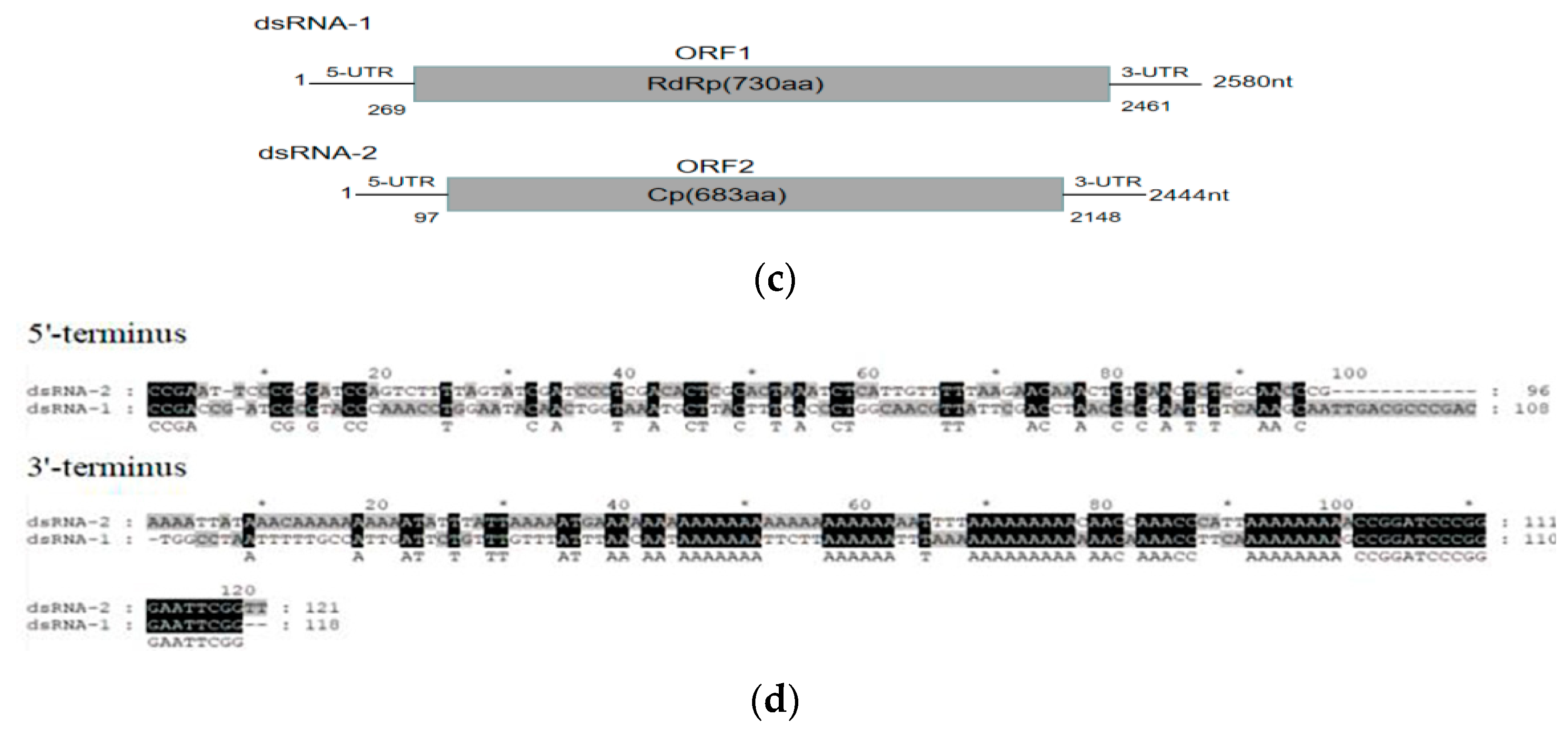 Viruses 15 02088 g001b