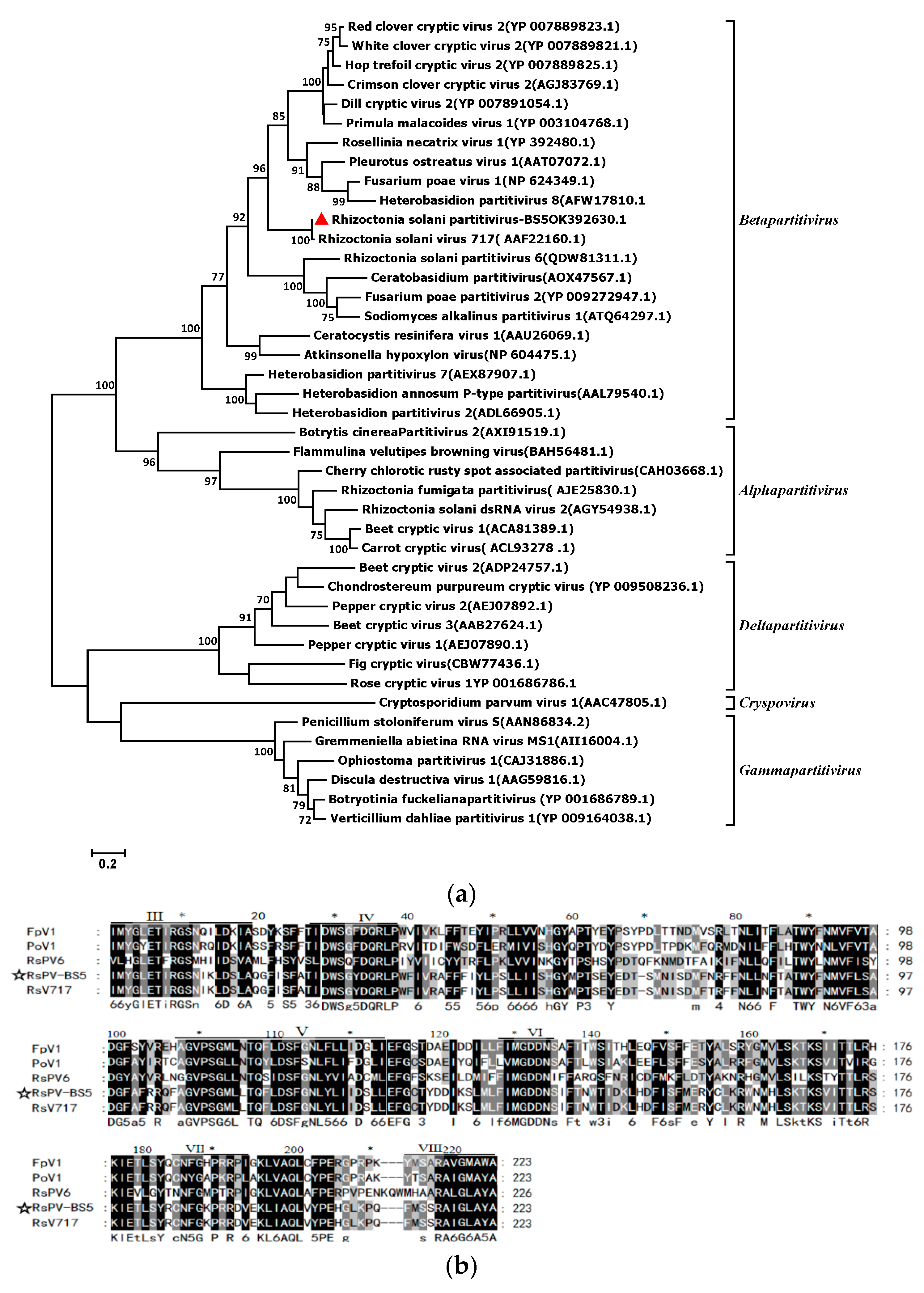 Viruses 15 02088 g002