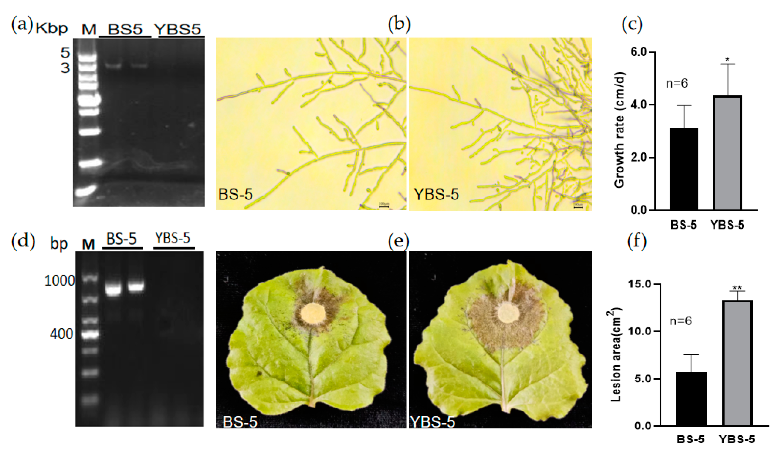 Viruses 15 02088 g005