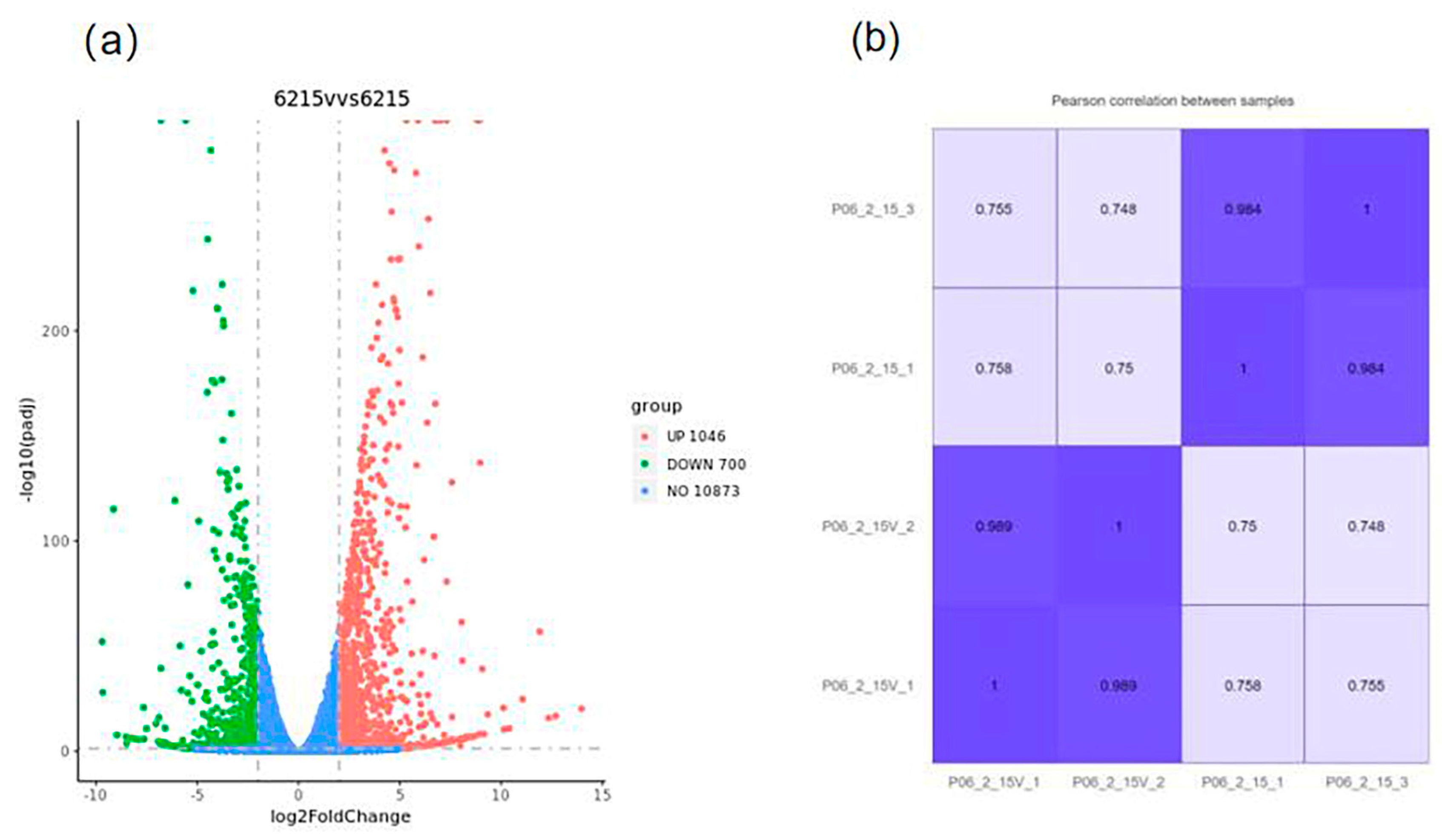 Viruses 15 02088 g006