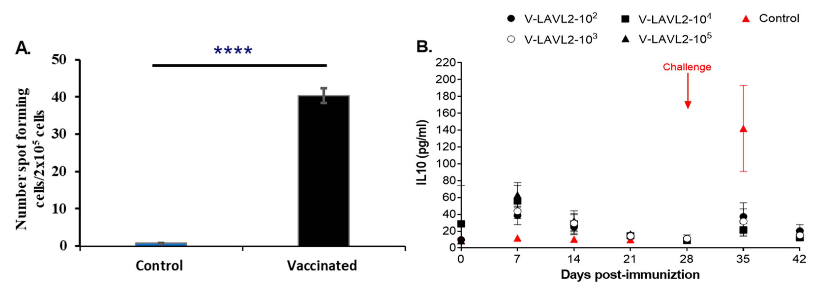 Viruses 15 02089 g008