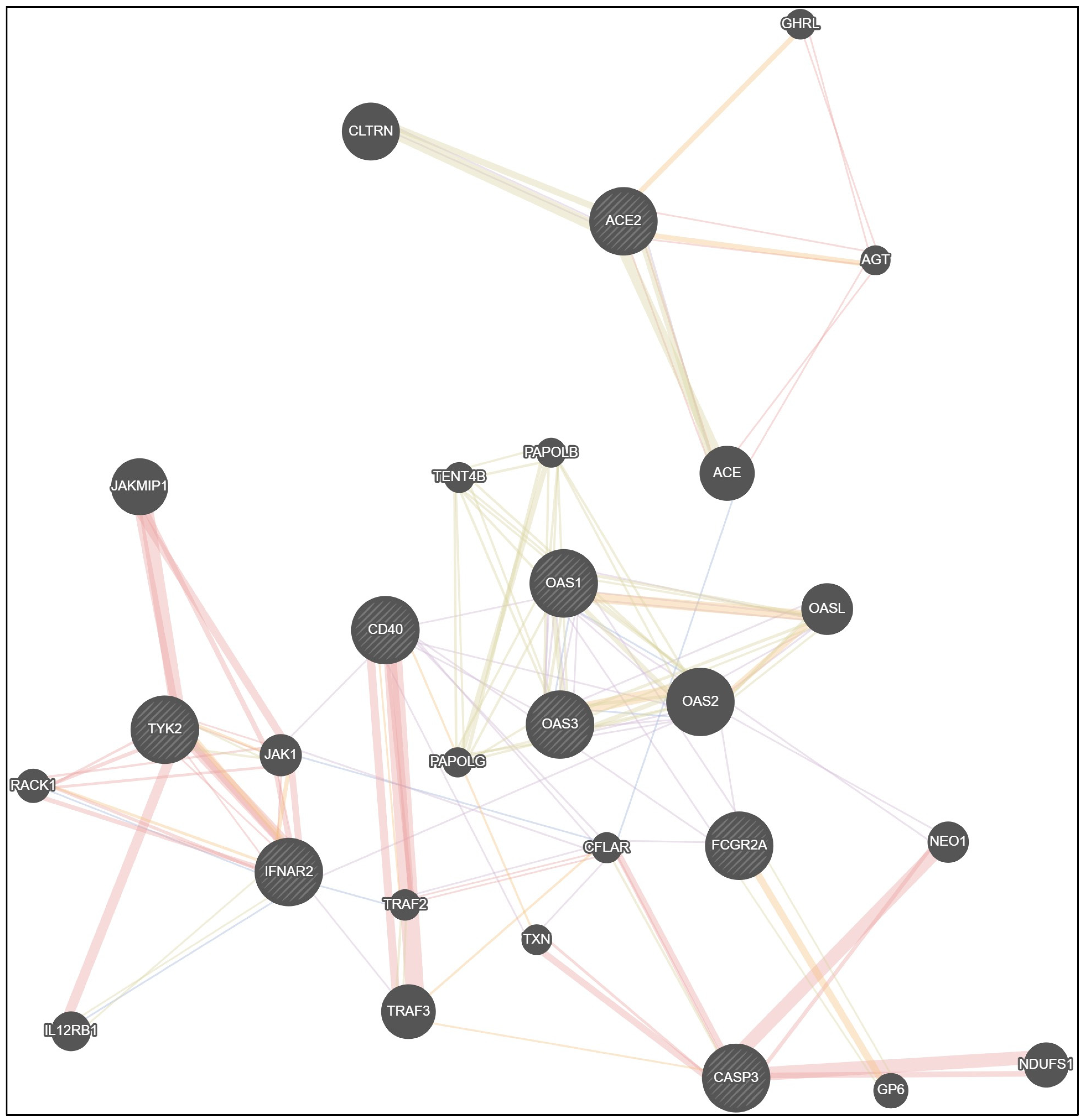 Viruses 15 02093 g002