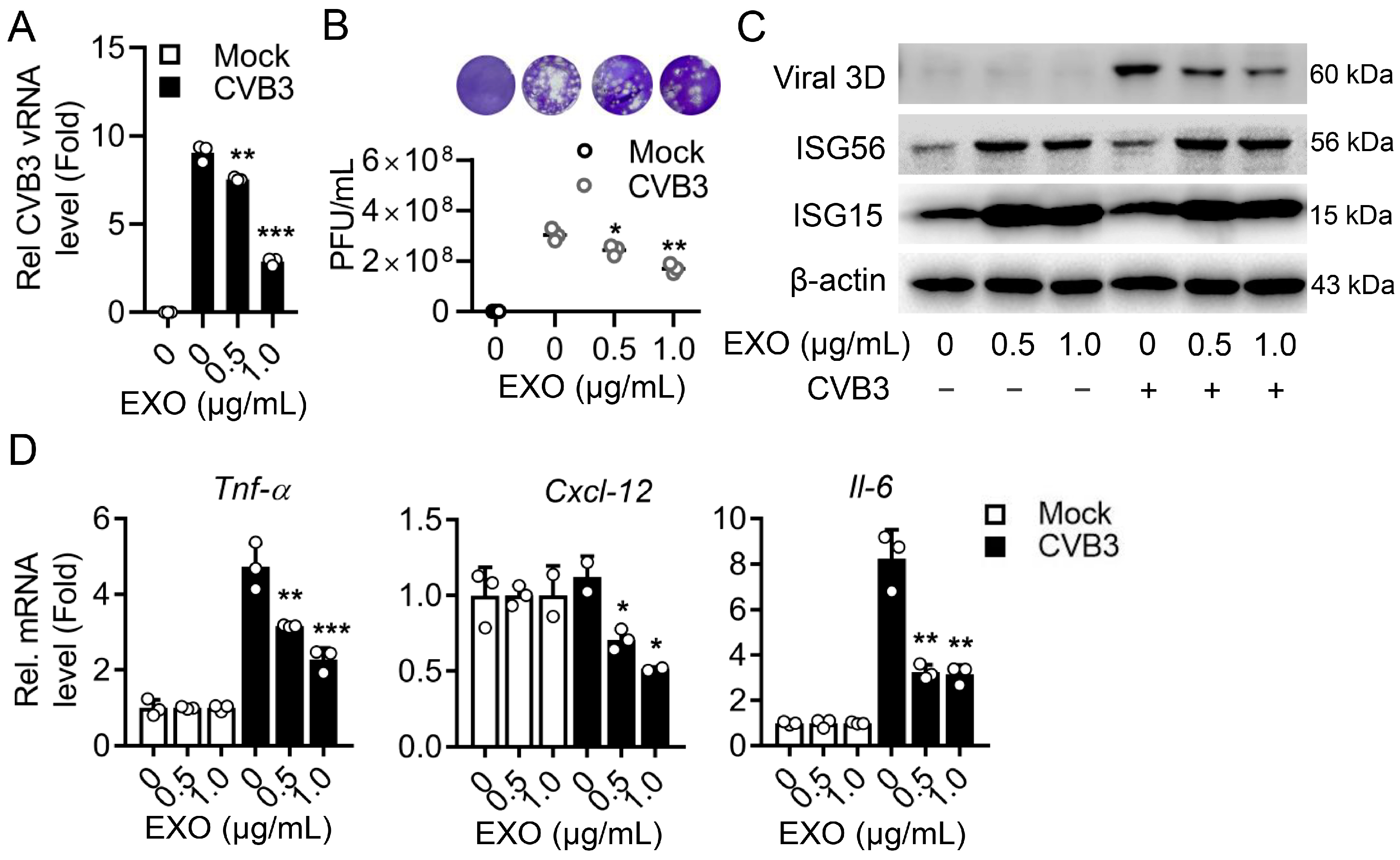 Viruses 15 02094 g005