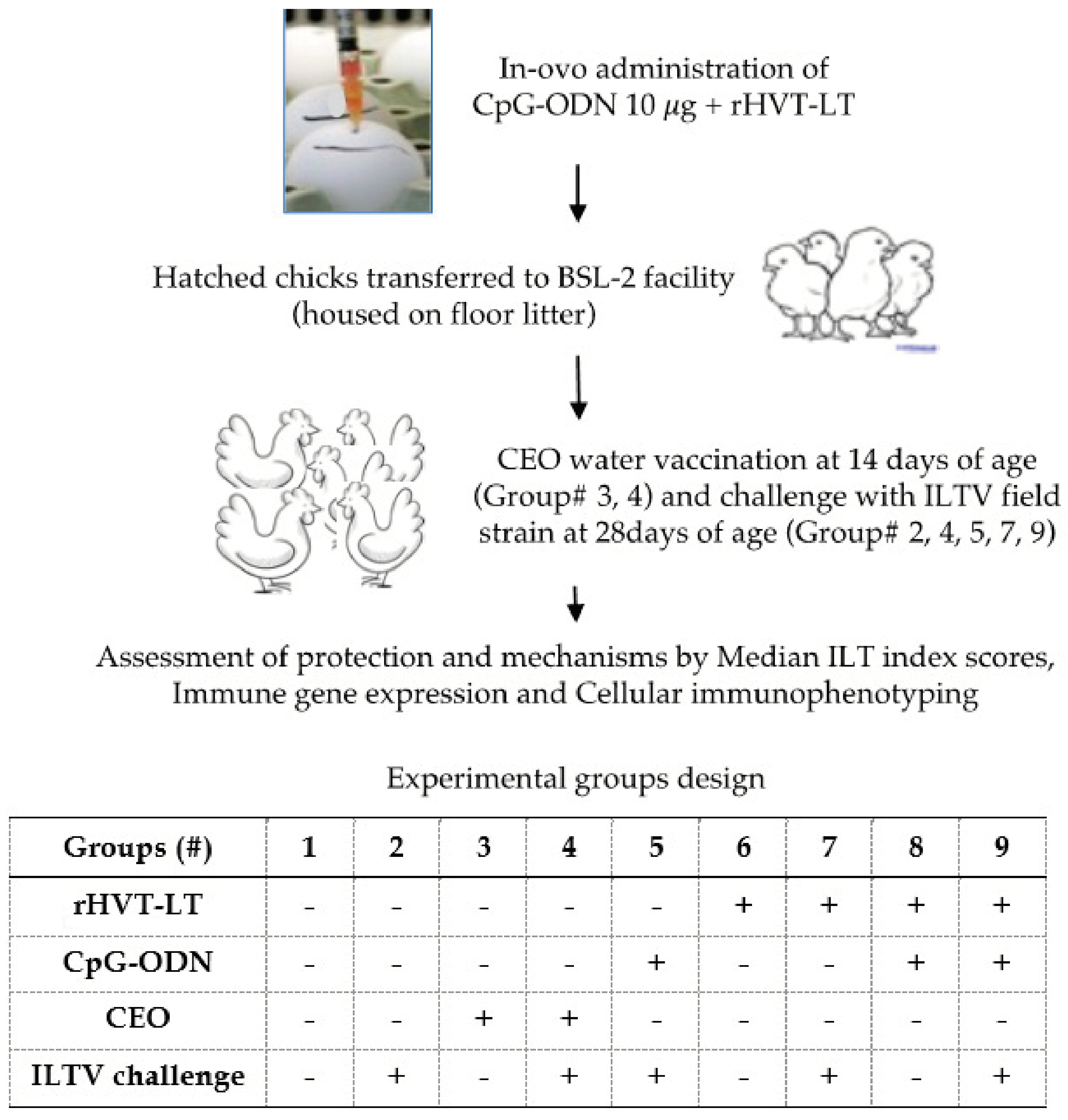 Viruses 15 02103 g001 Viruses 15 02103 g001
