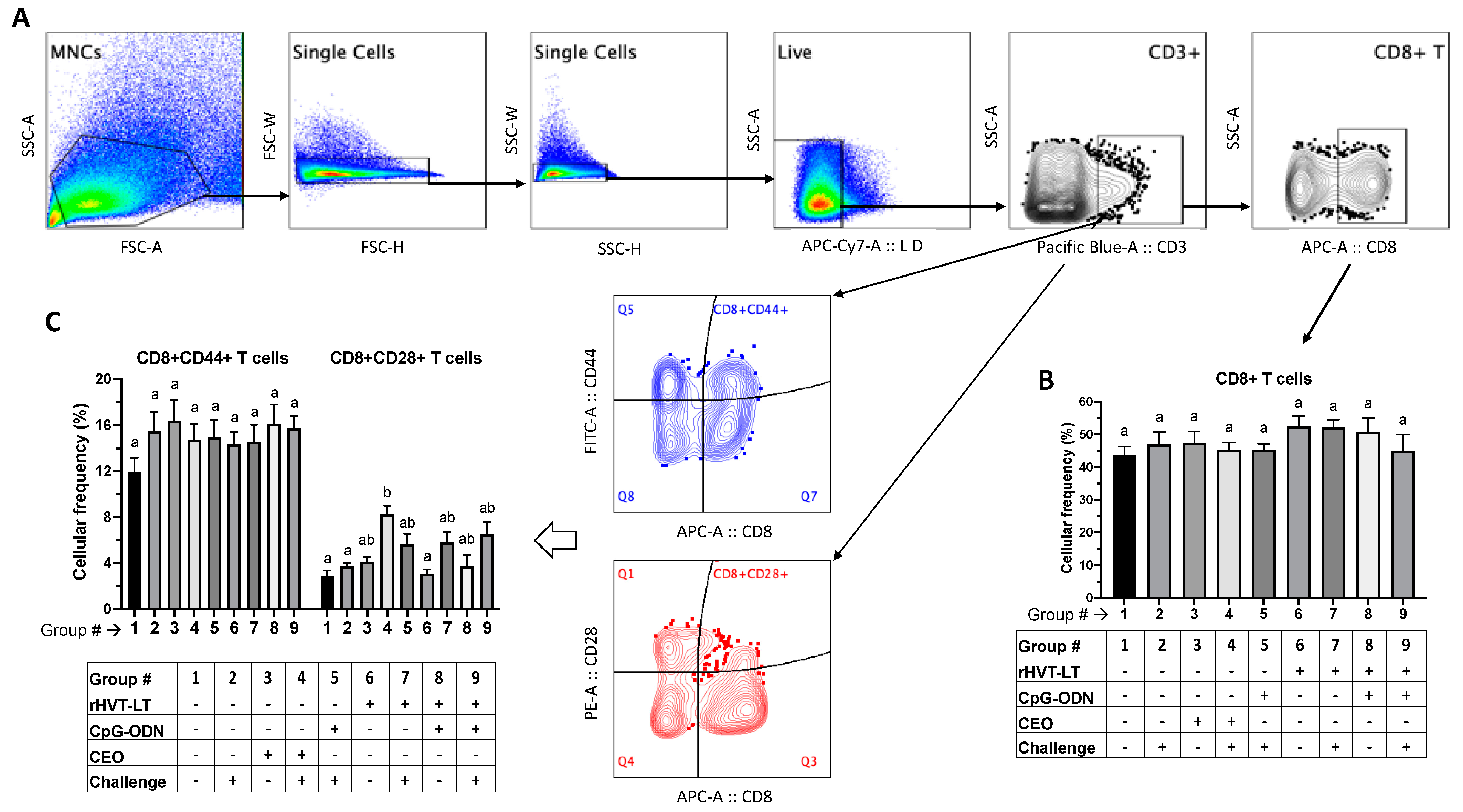 Viruses 15 02103 g006 Viruses 15 02103 g006