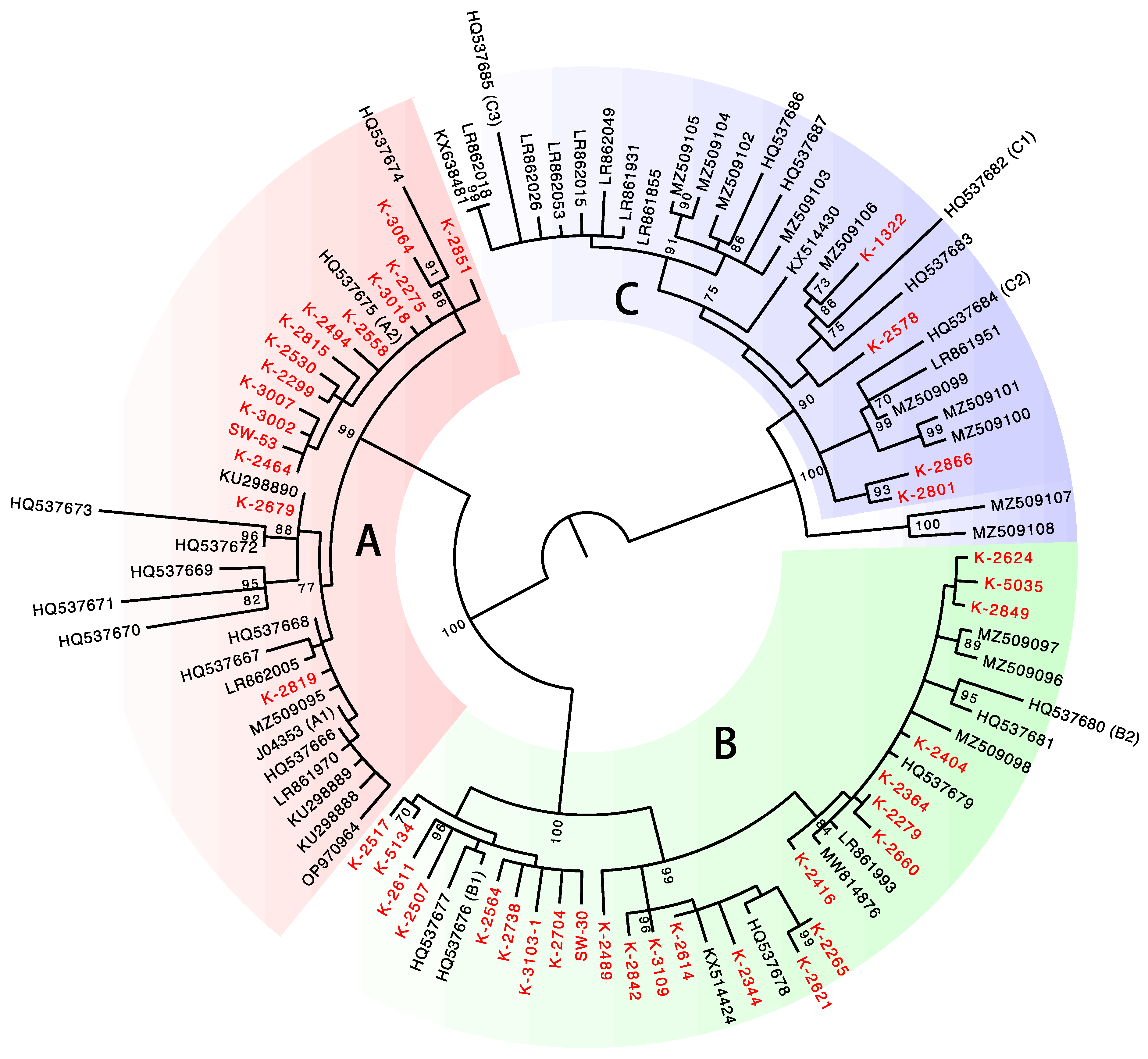Viruses 15 02104 g002