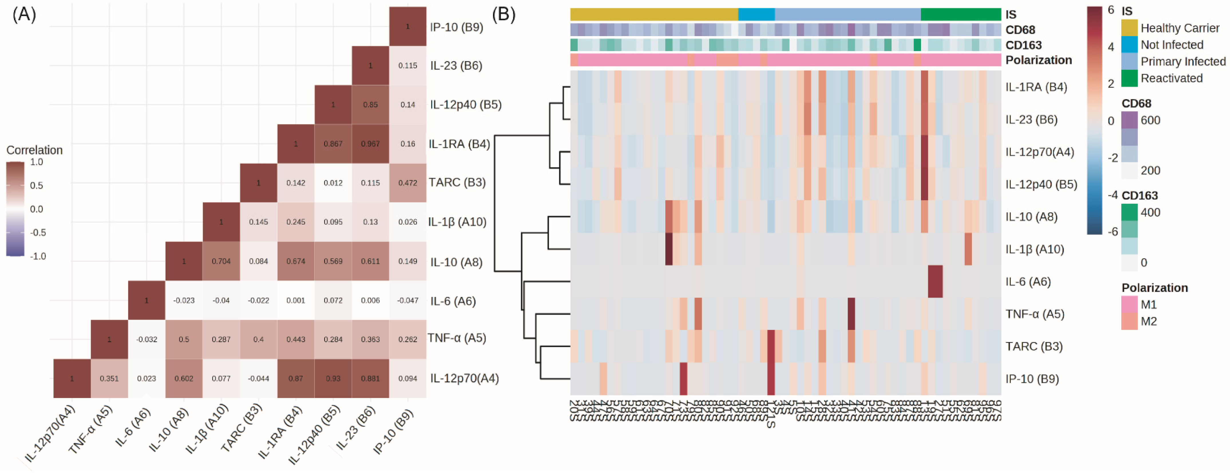 Viruses 15 02105 g001