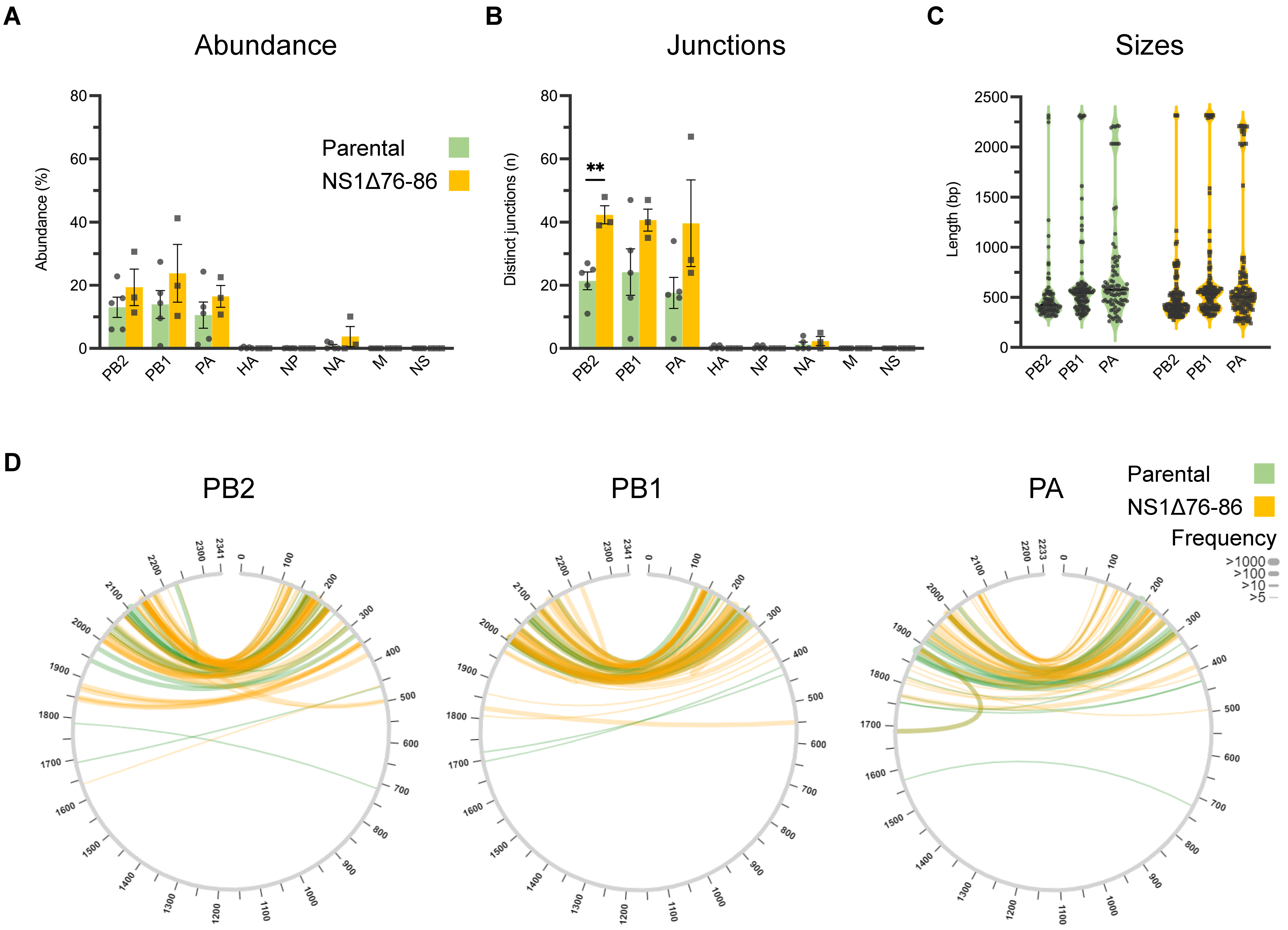 Viruses 15 02107 g005 Viruses 15 02107 g005