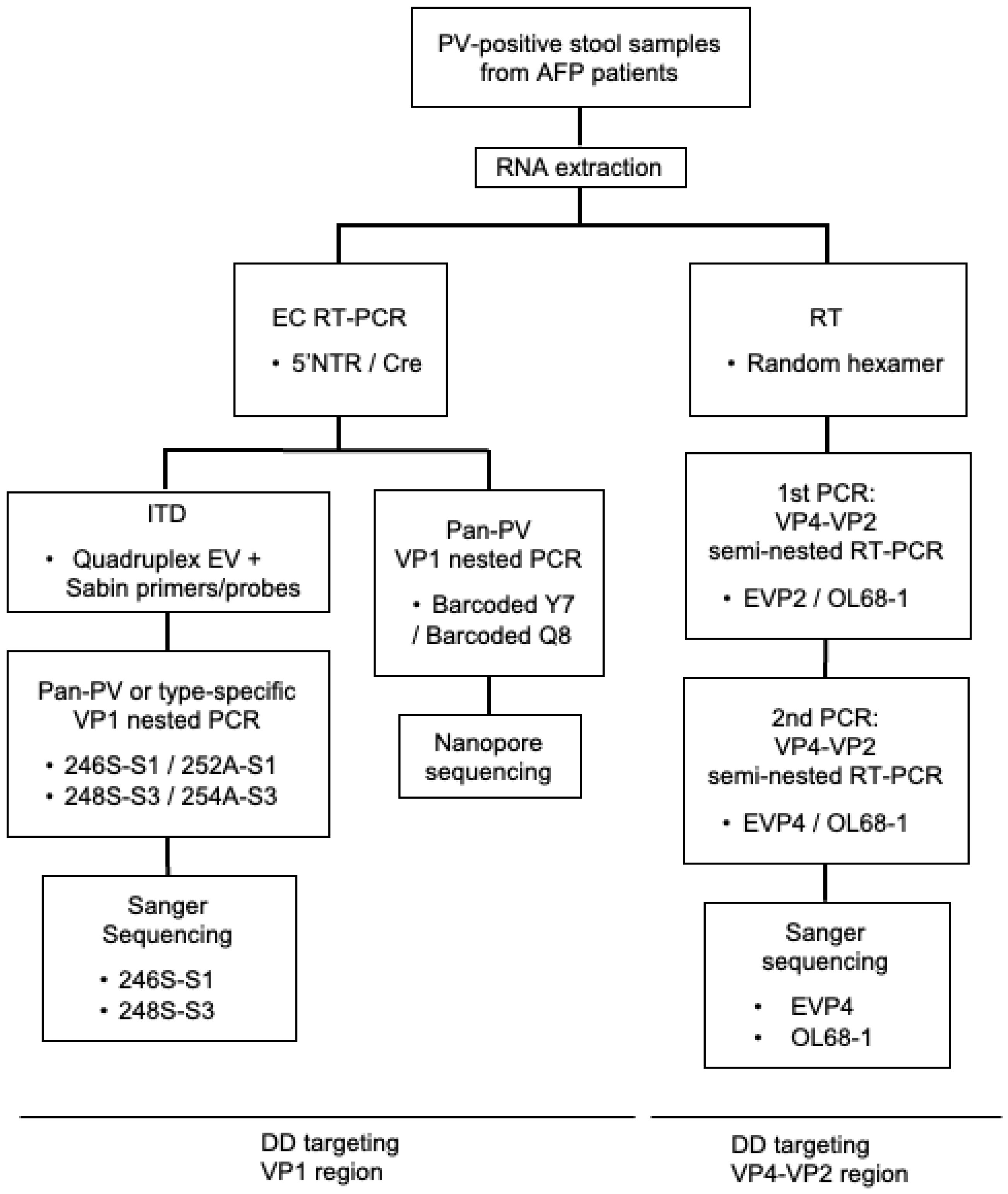 Viruses 15 02113 g001