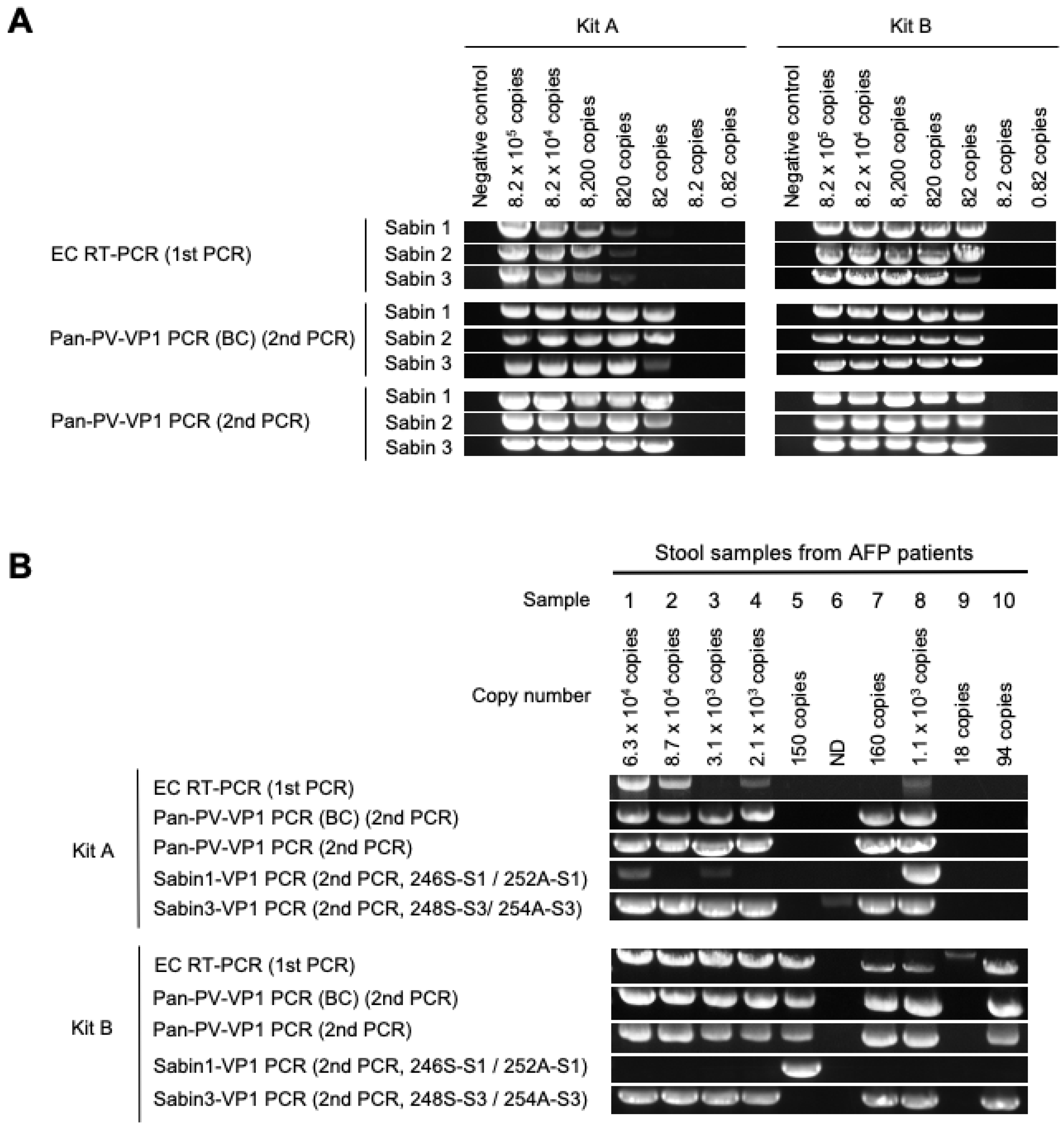 Viruses 15 02113 g002