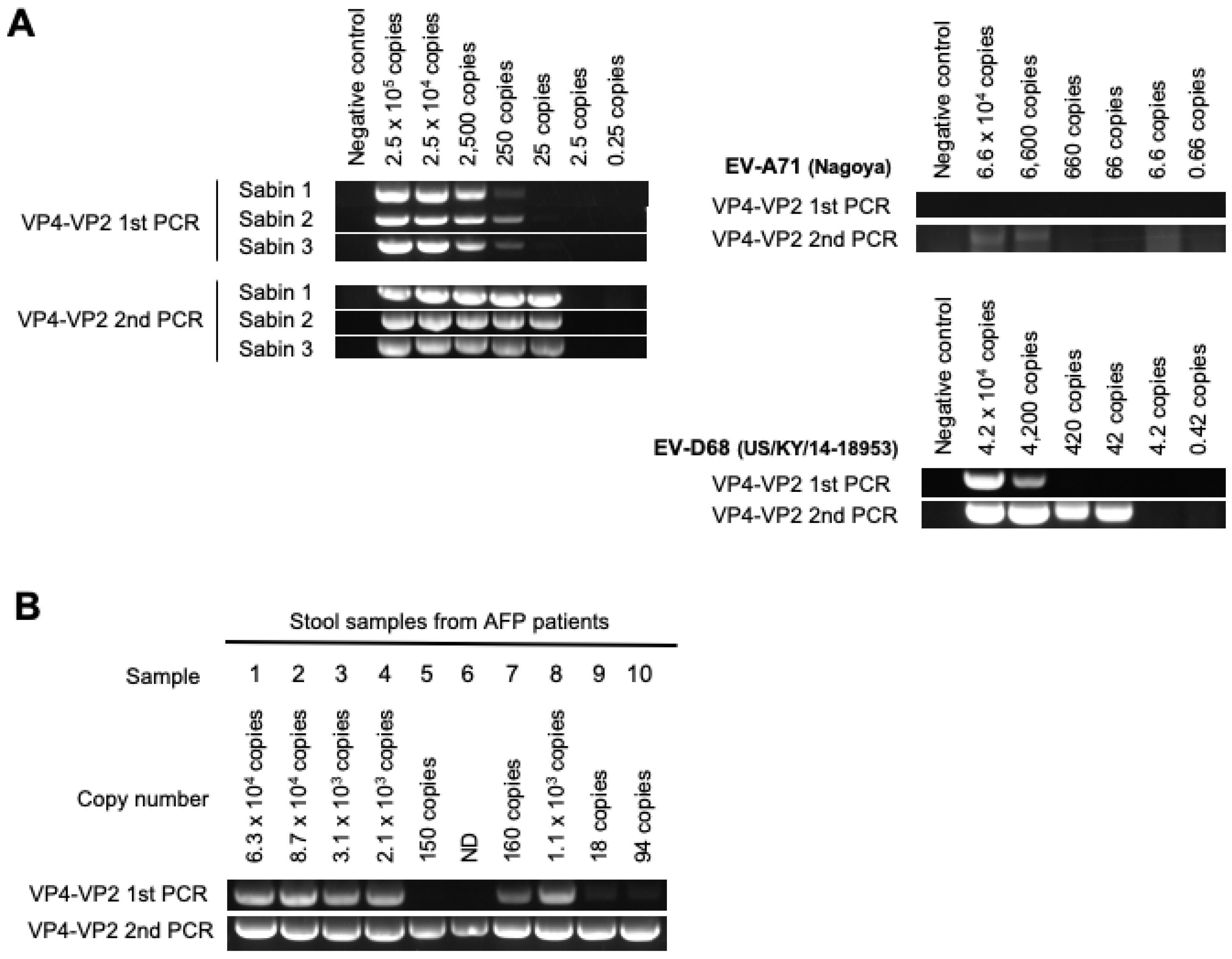 Viruses 15 02113 g003