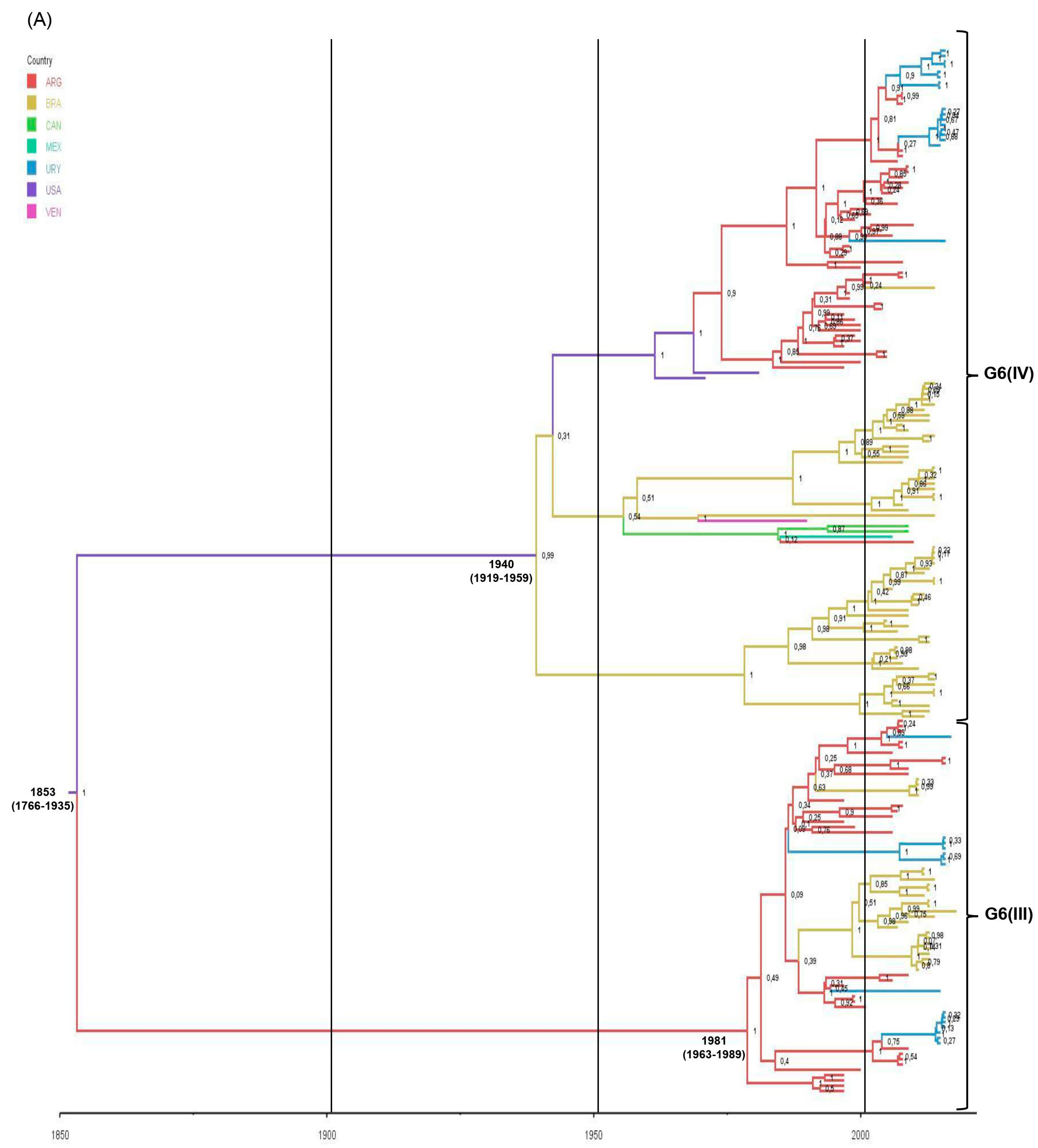 Viruses 15 02115 g005a