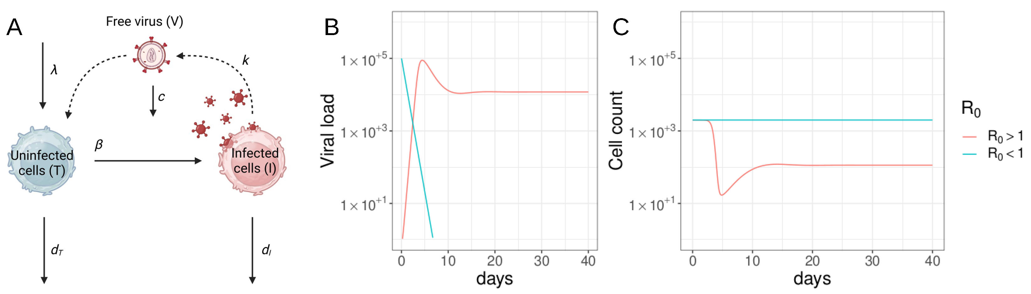 Viruses 15 02119 g001