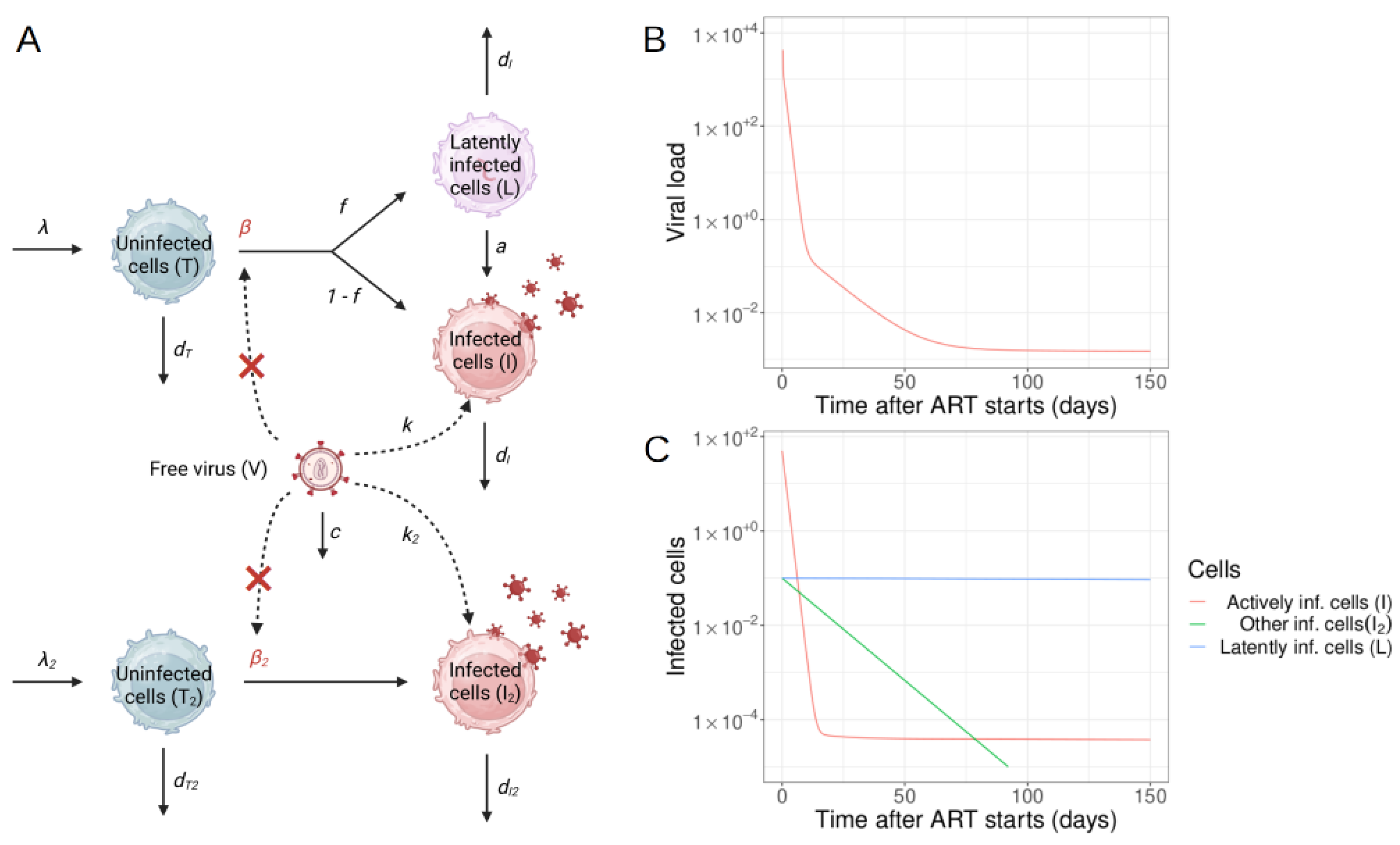 Viruses 15 02119 g002