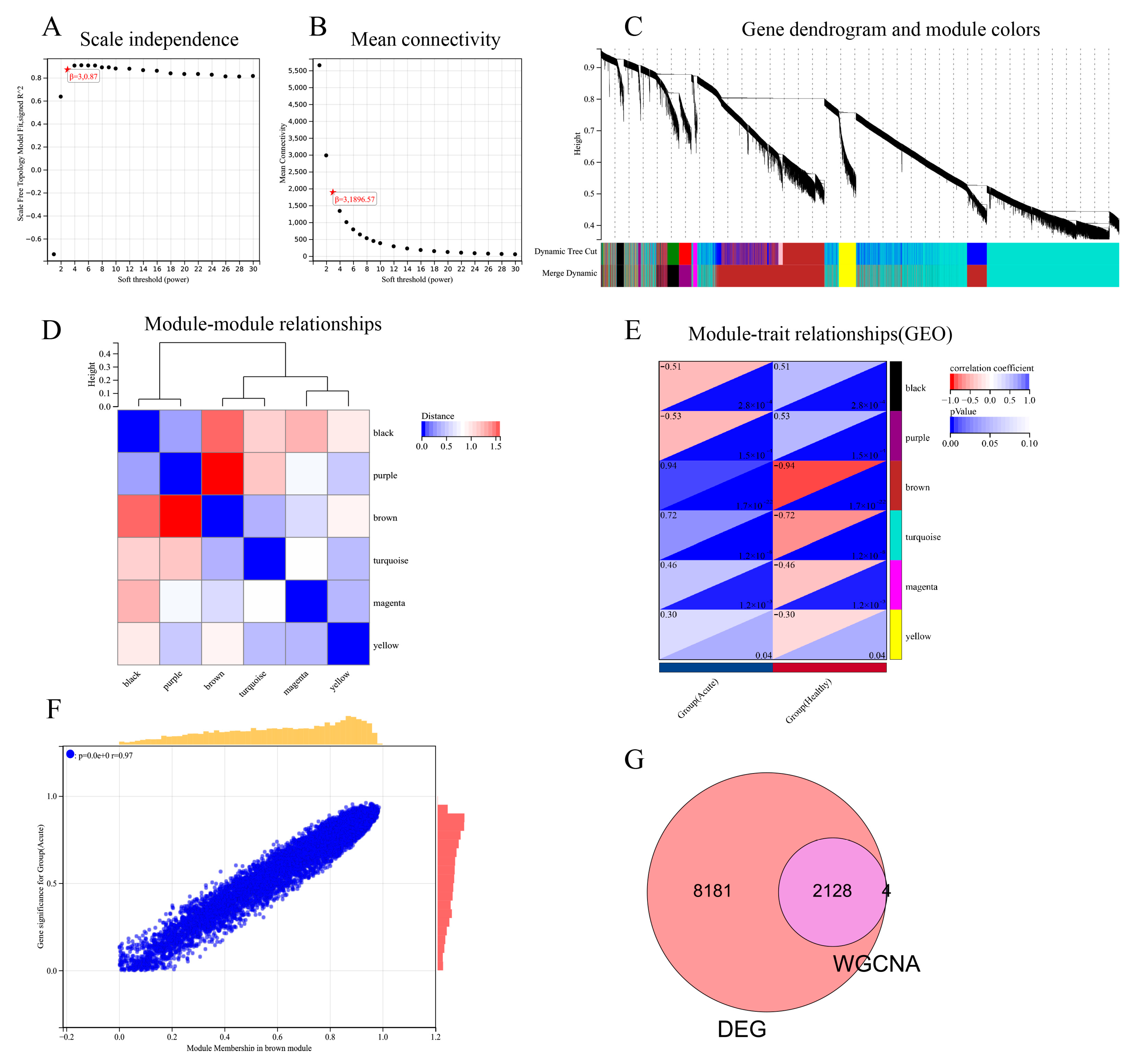 Viruses 15 02126 g004