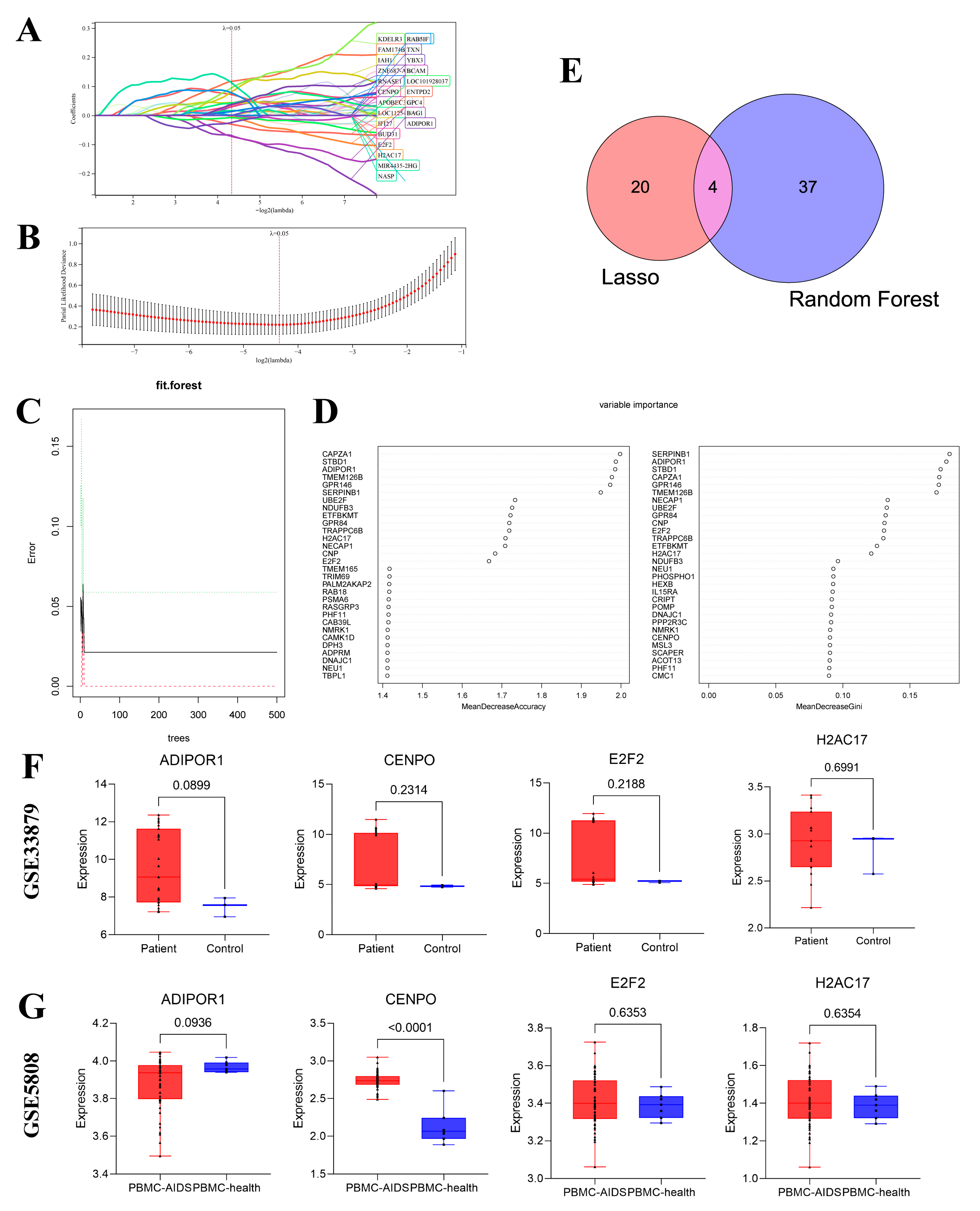 Viruses 15 02126 g005