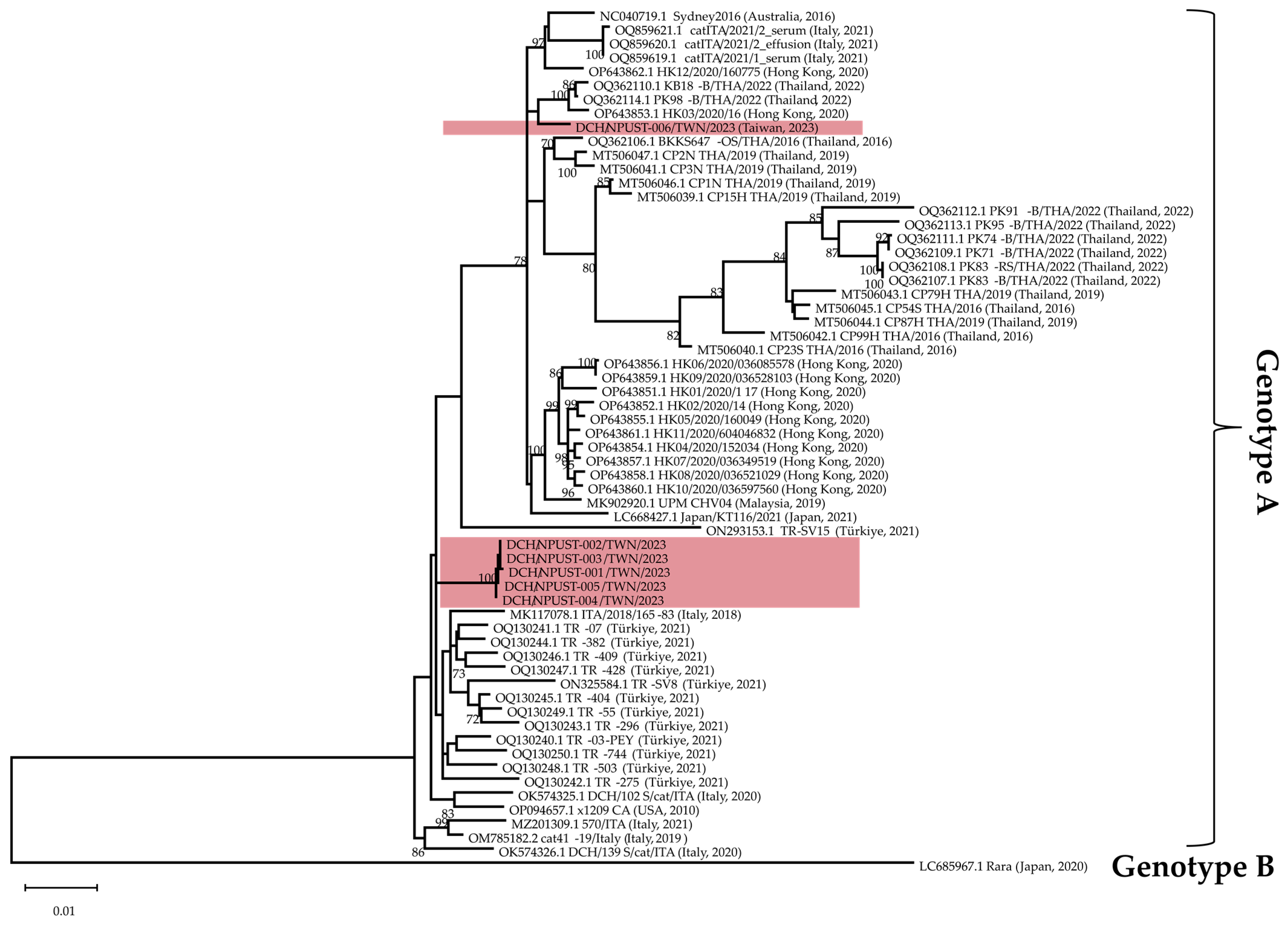 Viruses 15 02128 g003
