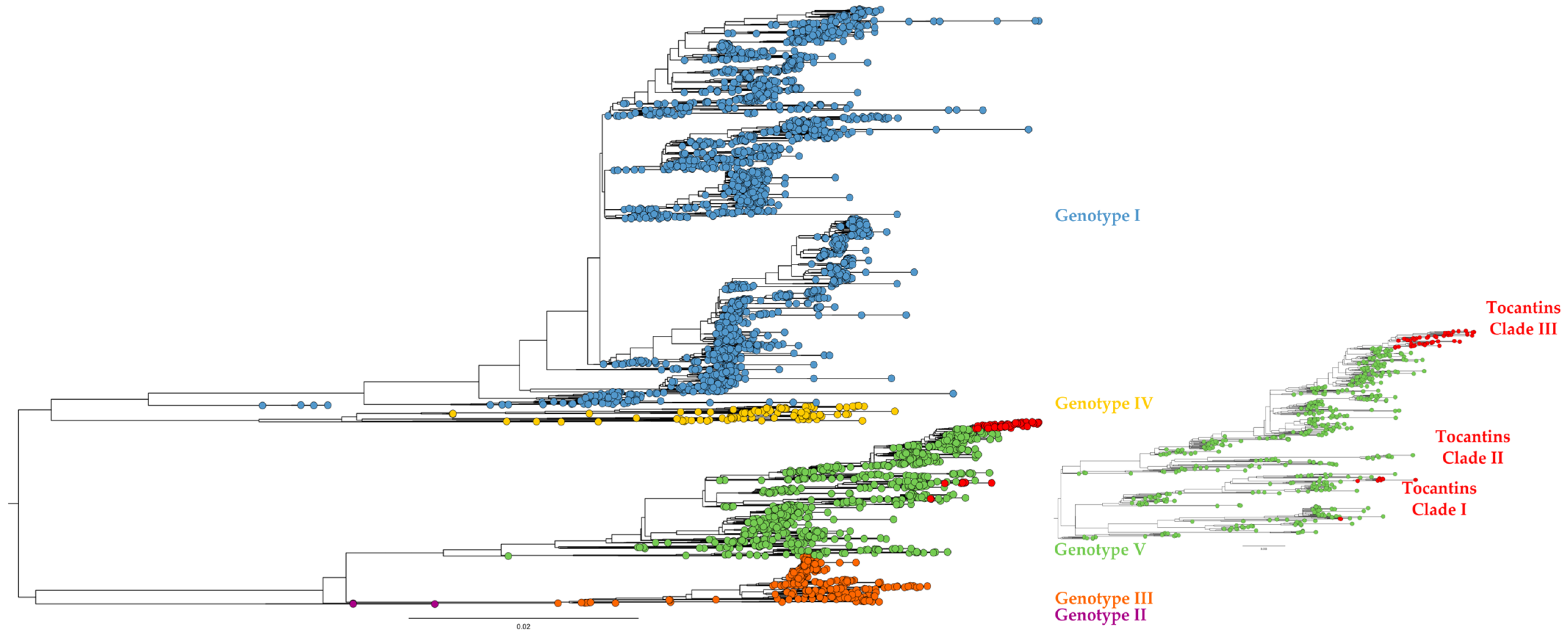 Viruses 15 02136 g002 Viruses 15 02136 g002