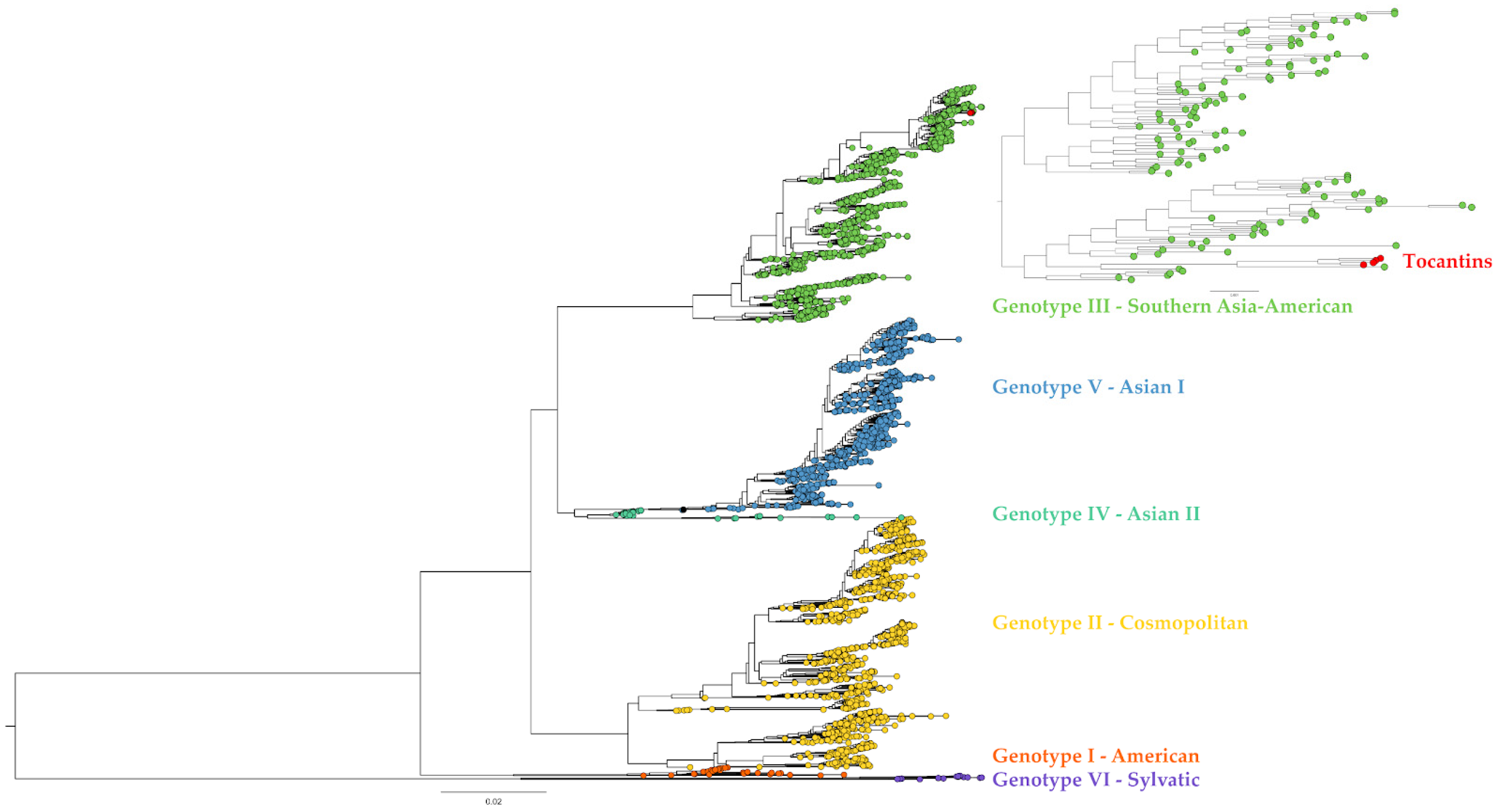 Viruses 15 02136 g003 Viruses 15 02136 g003