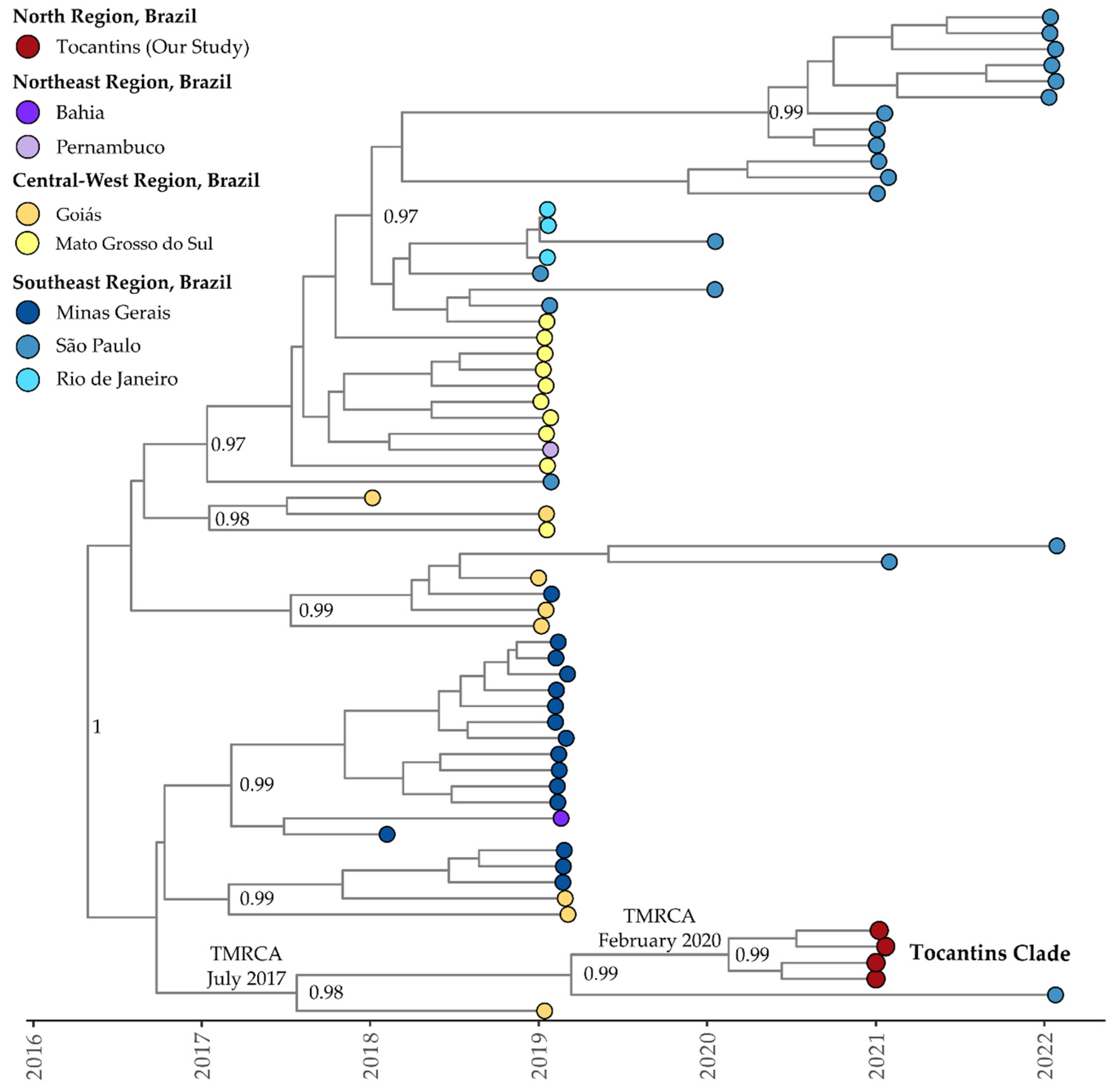 Viruses 15 02136 g007 Viruses 15 02136 g007