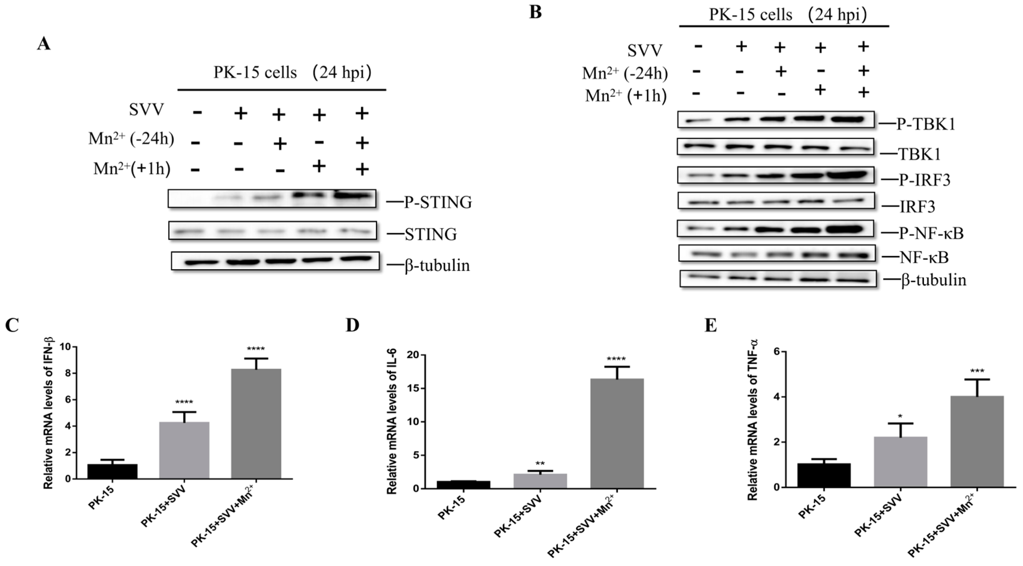 Viruses 15 02138 g005