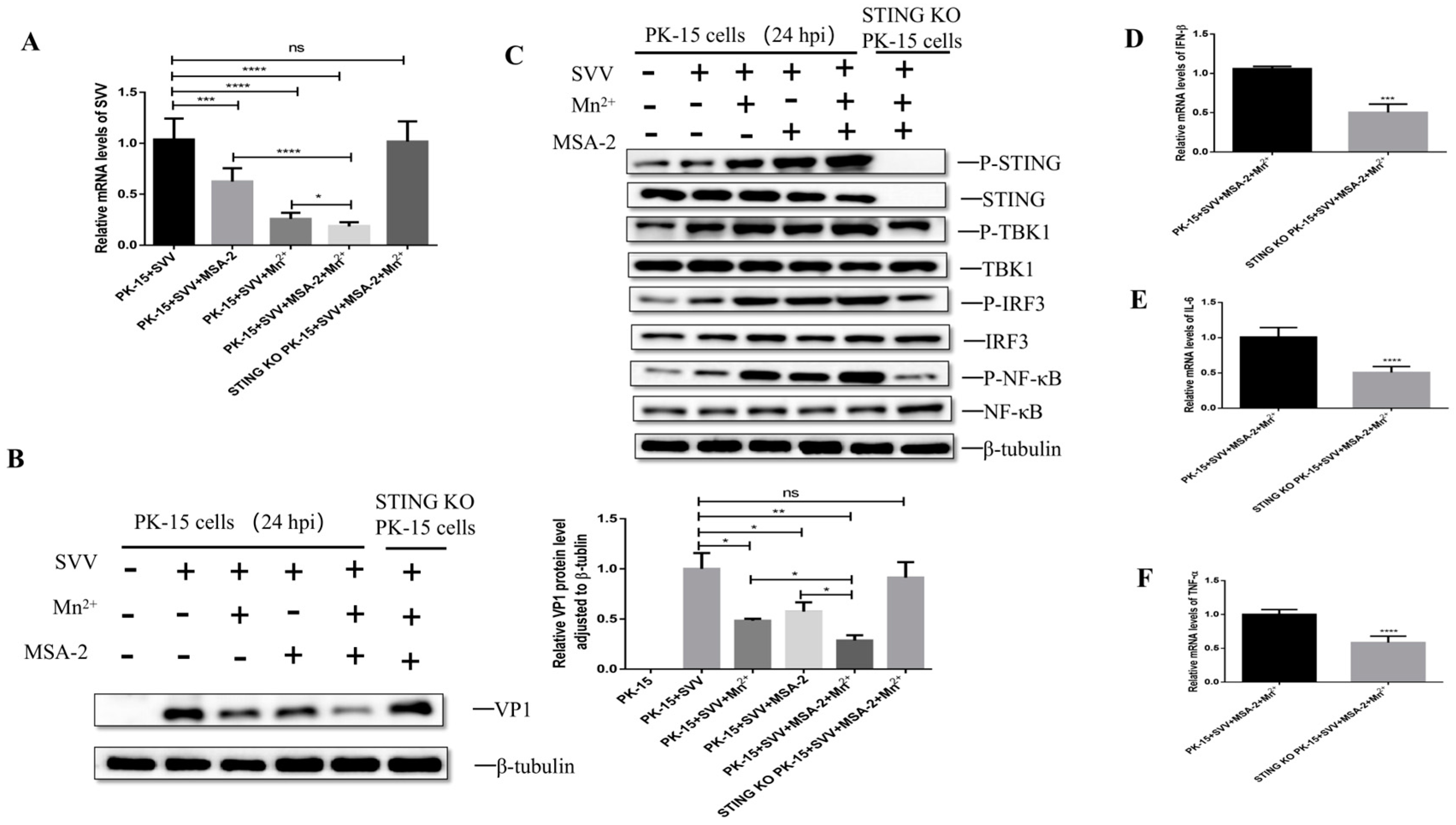 Viruses 15 02138 g009